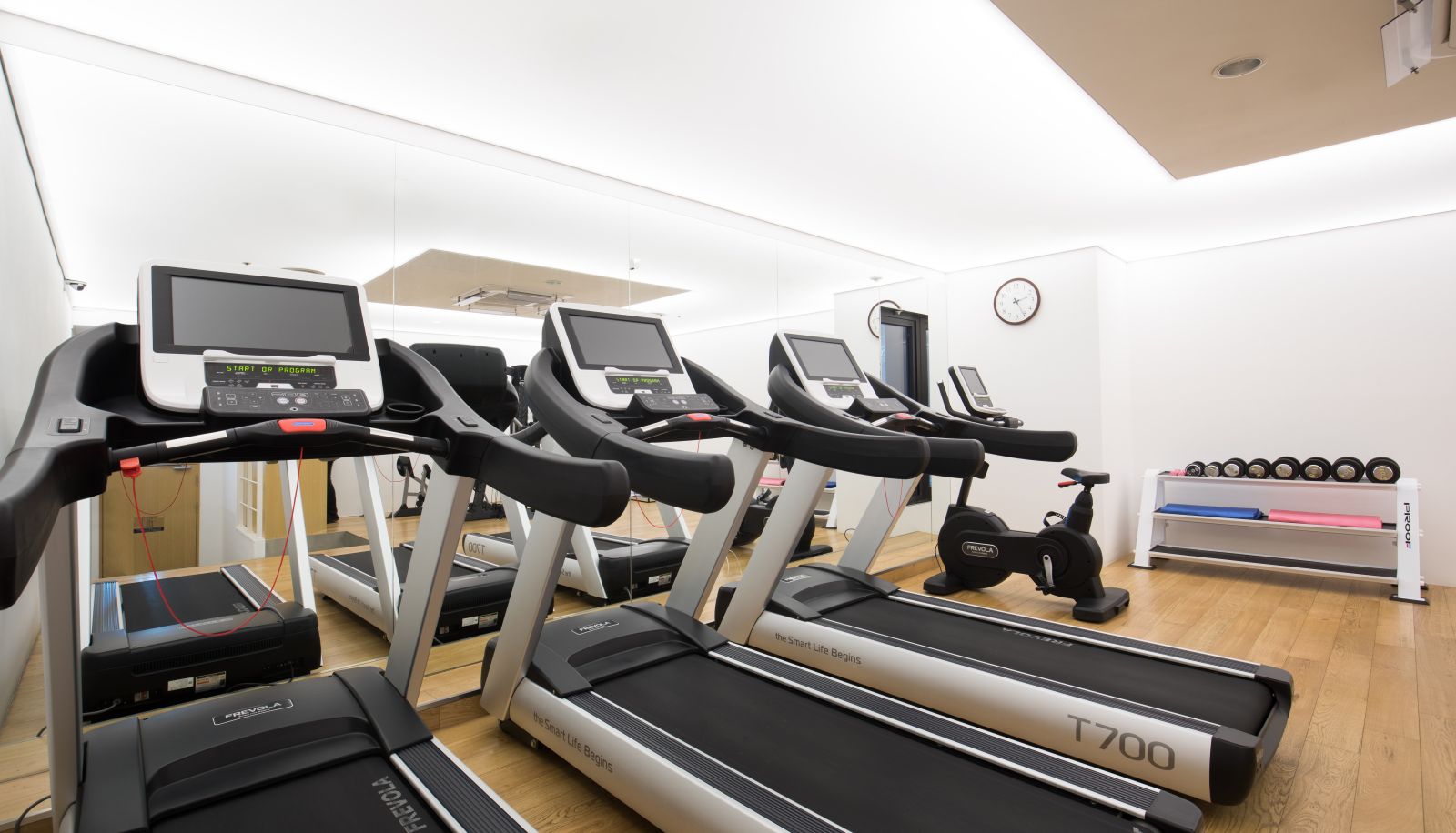Gimnasio - SOTETSU HOTELS THE SPLAISIR SEOUL MYEONG-DONG