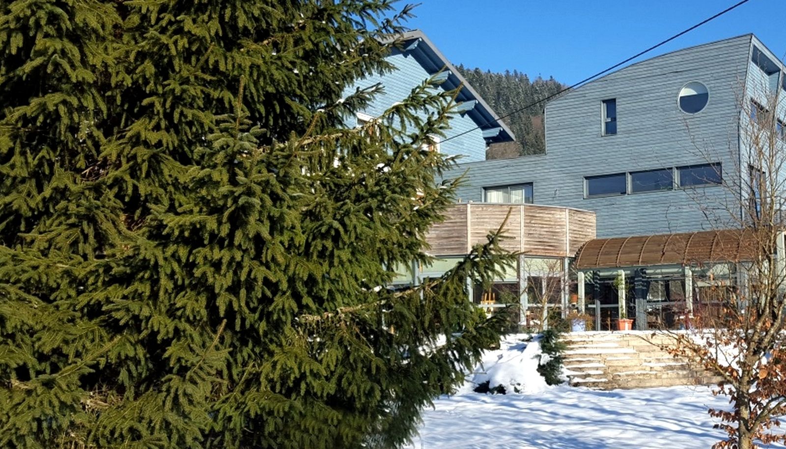 Buitenruimte van het hotel - Hotel Les Sapins