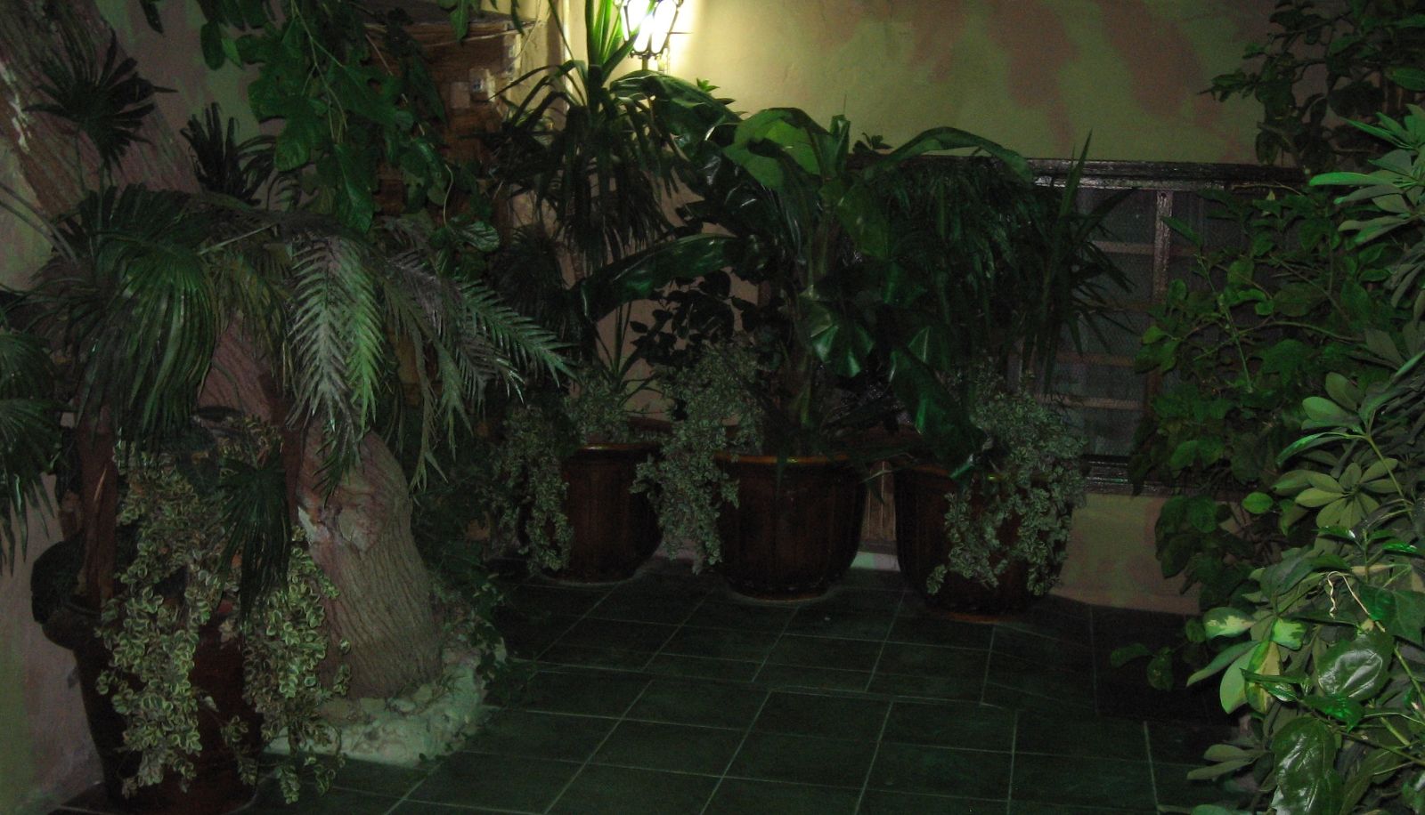 Garden - Sato Hotel