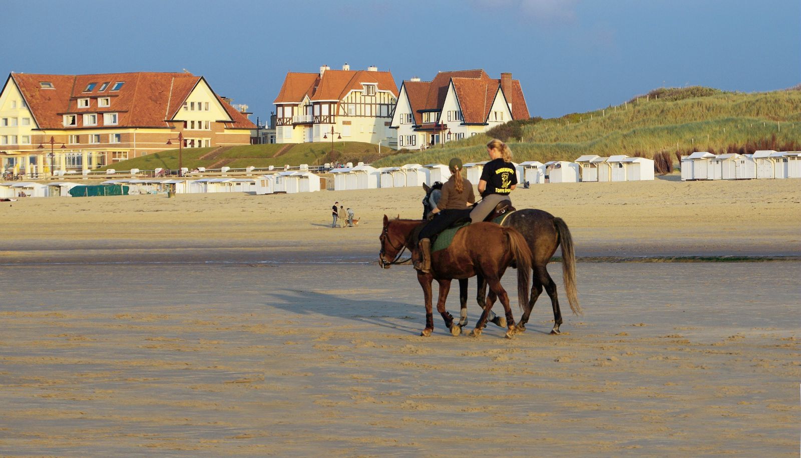 Strand - Sunparks de Haan