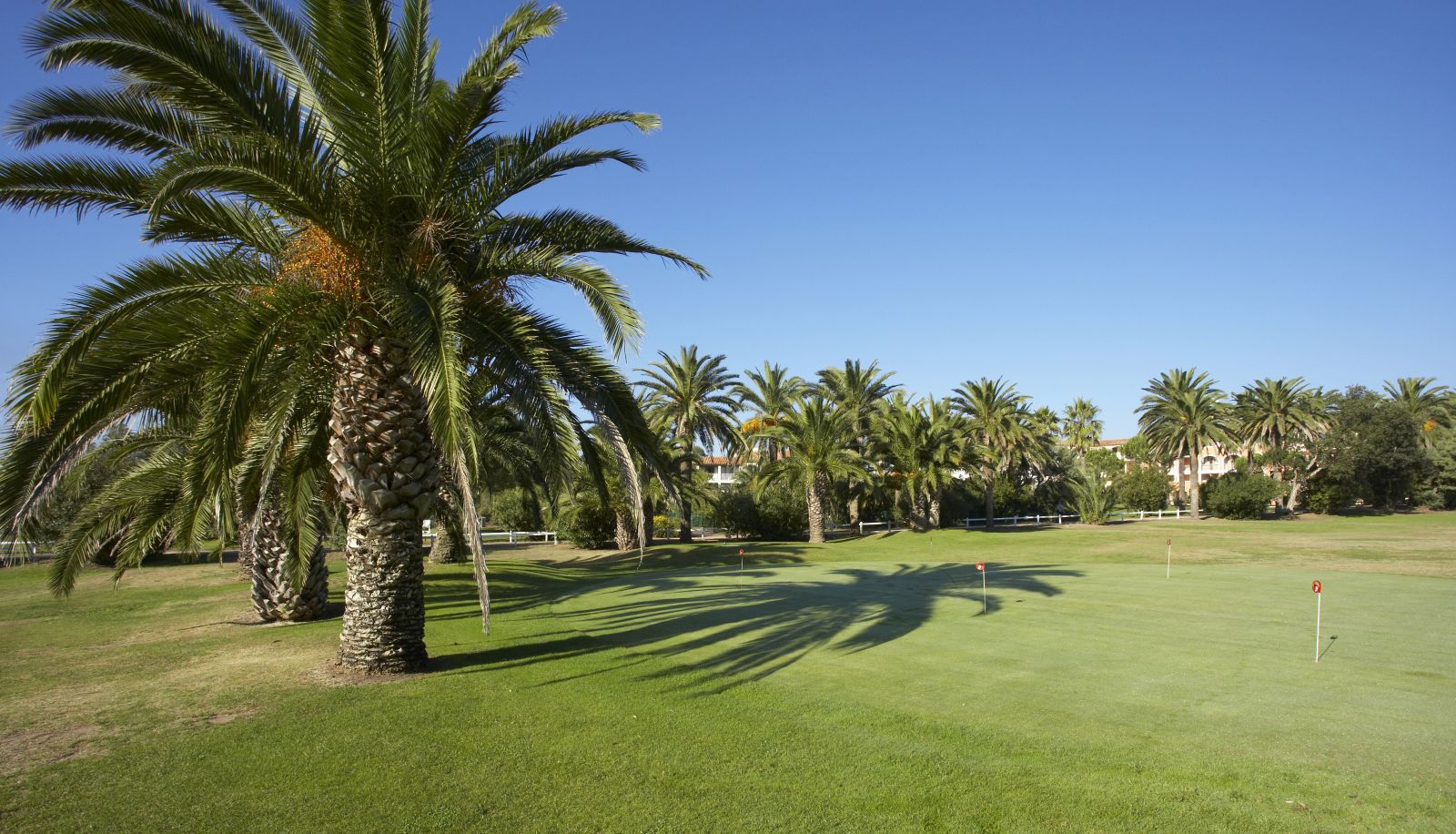 Jardín - Hôtel du Soleil Parcs de Grimaud