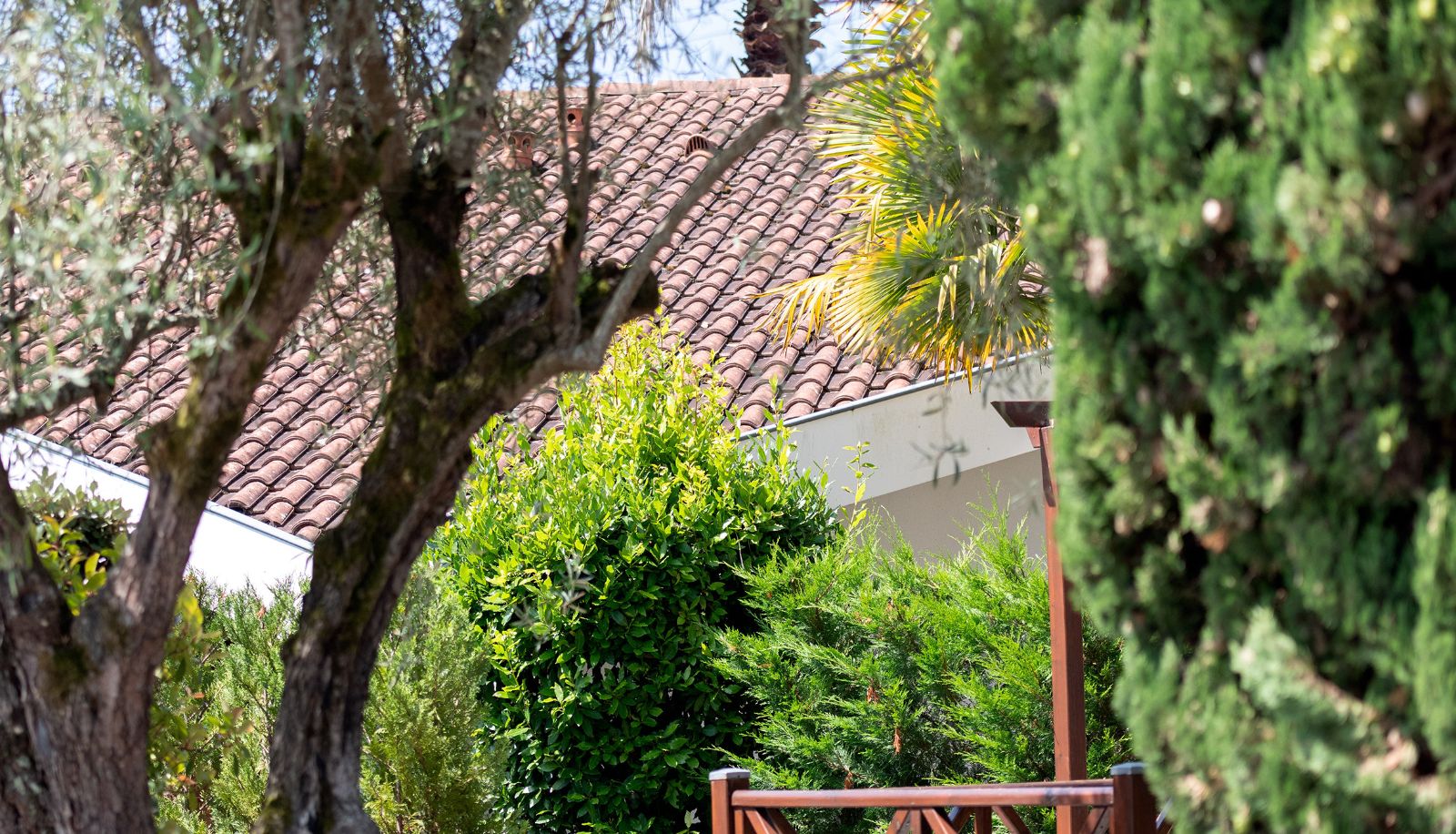 Jardin - Résidence Amarena