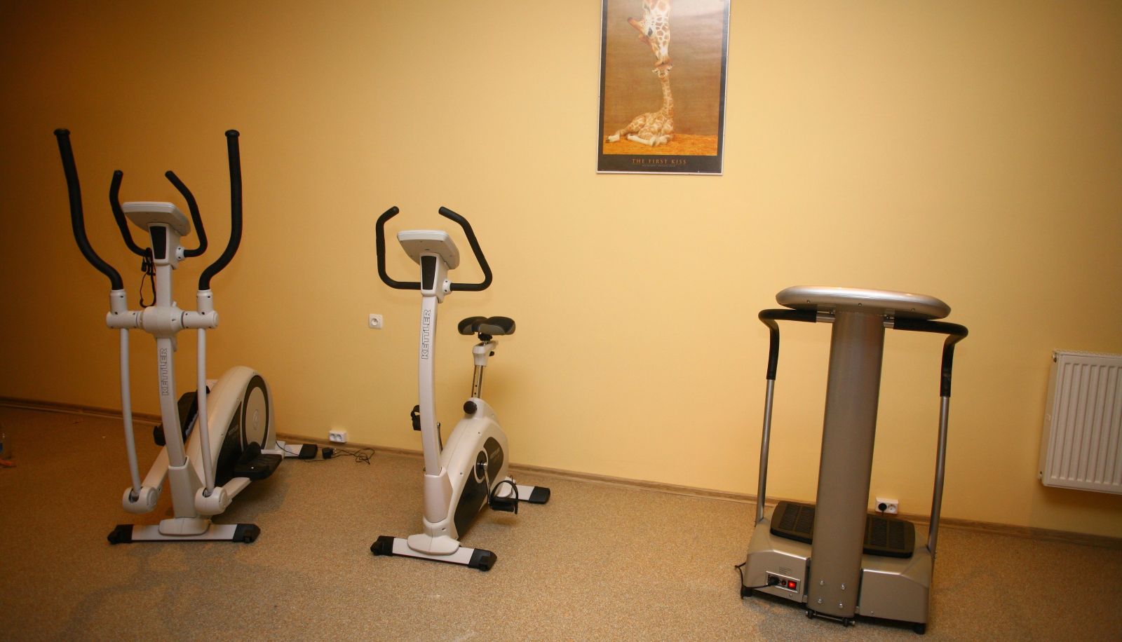 Fitness room - Europa