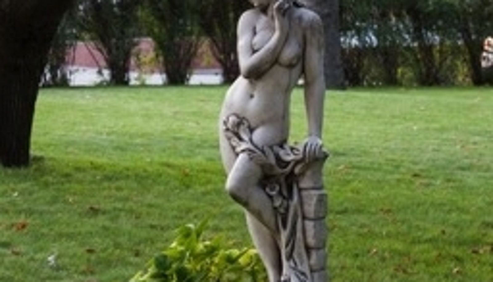Garden - Arcadia Plaza Аркадия Плаза