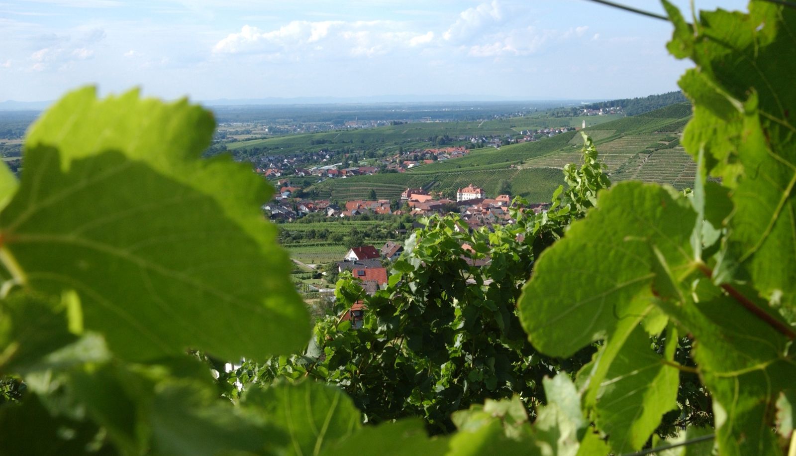 Ausblick - Heiligenstein