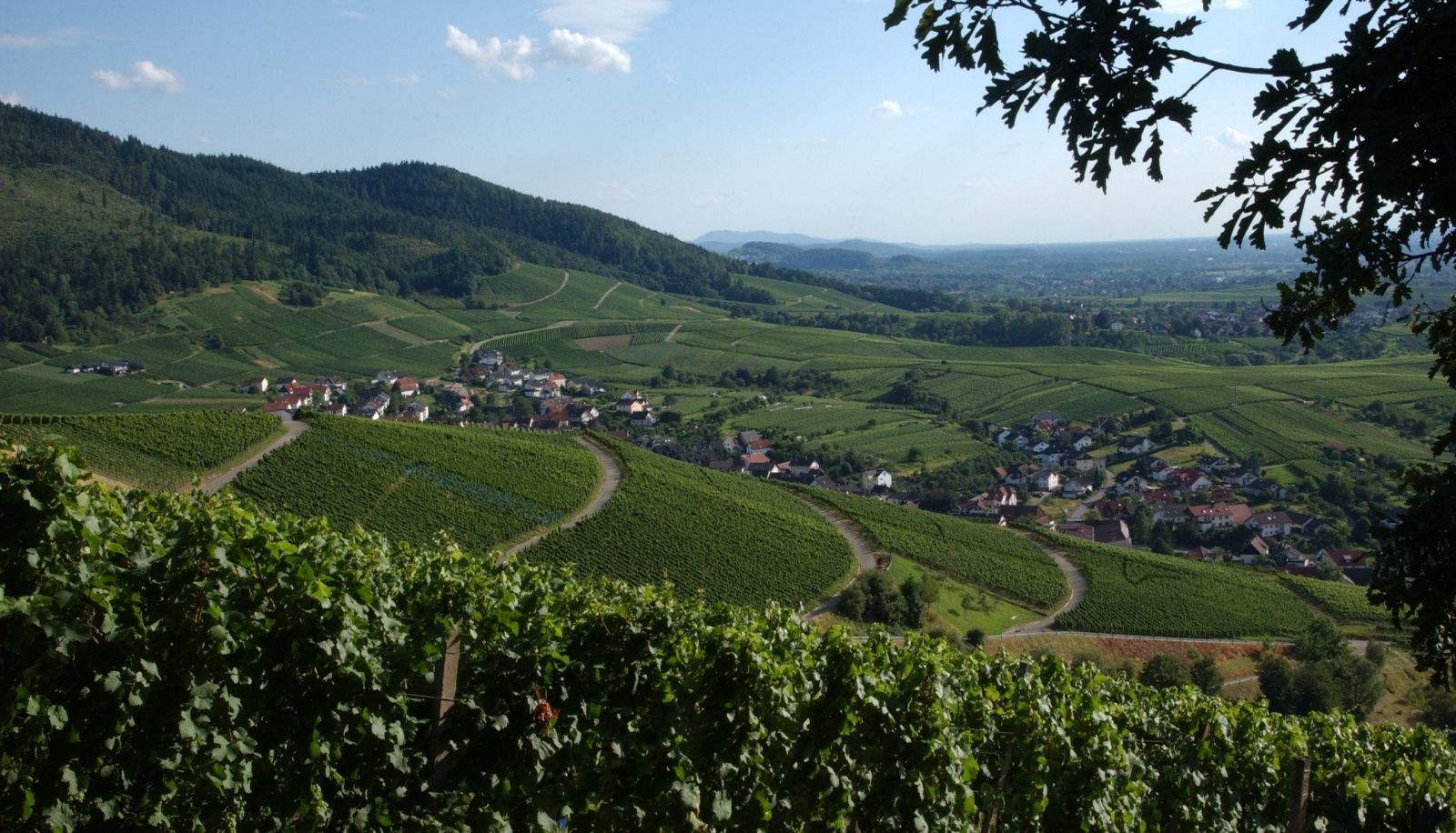 Umgebung - Heiligenstein