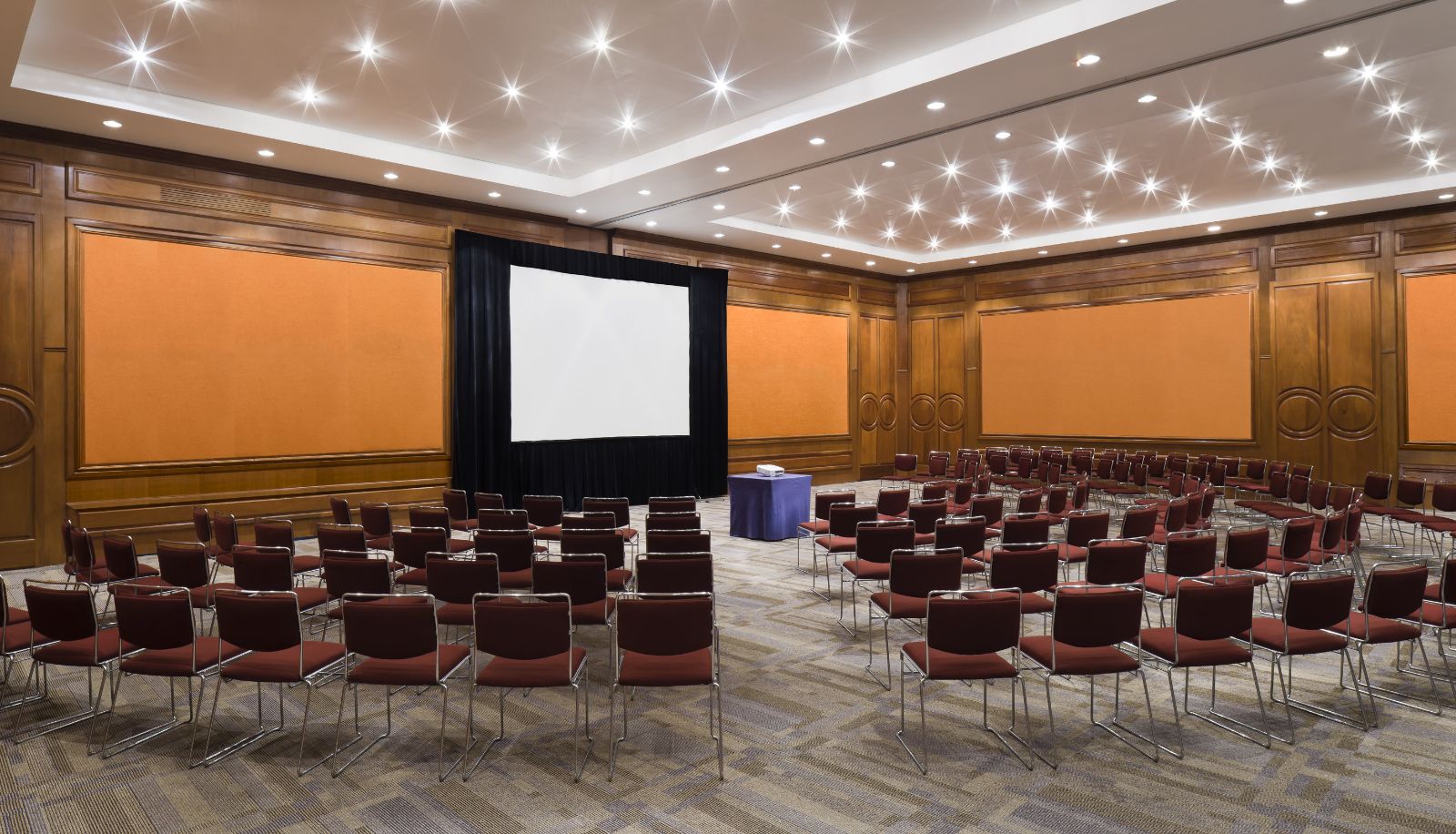 Sala kongresowa - Camino Real Guadalajara