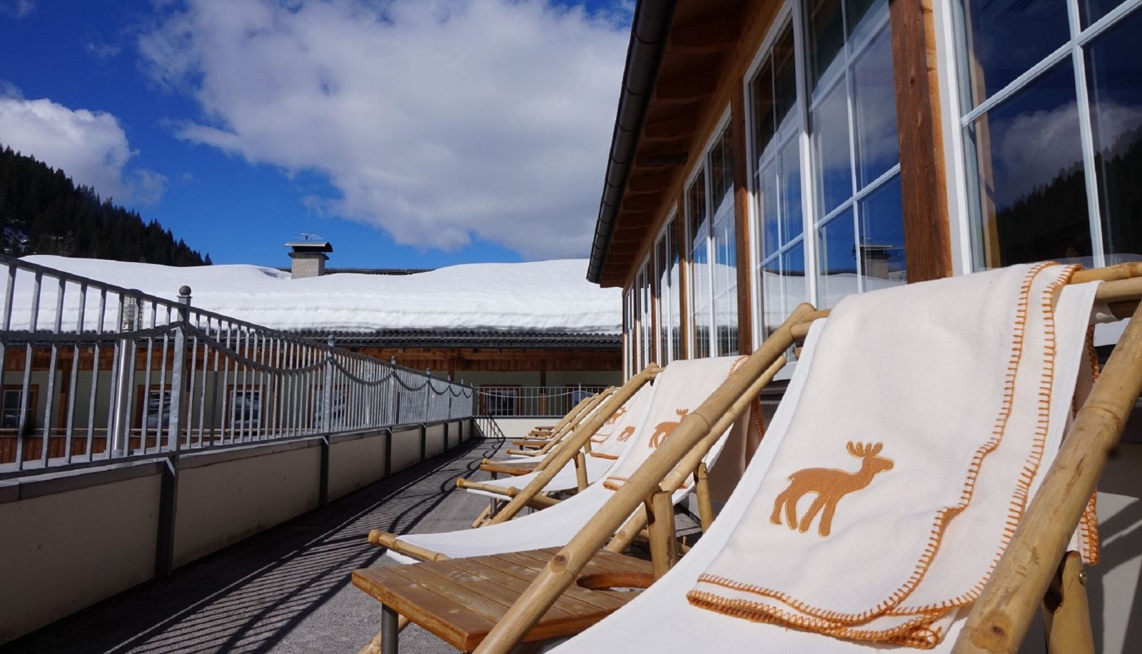 Terraza - Hotel SPORTALMMM