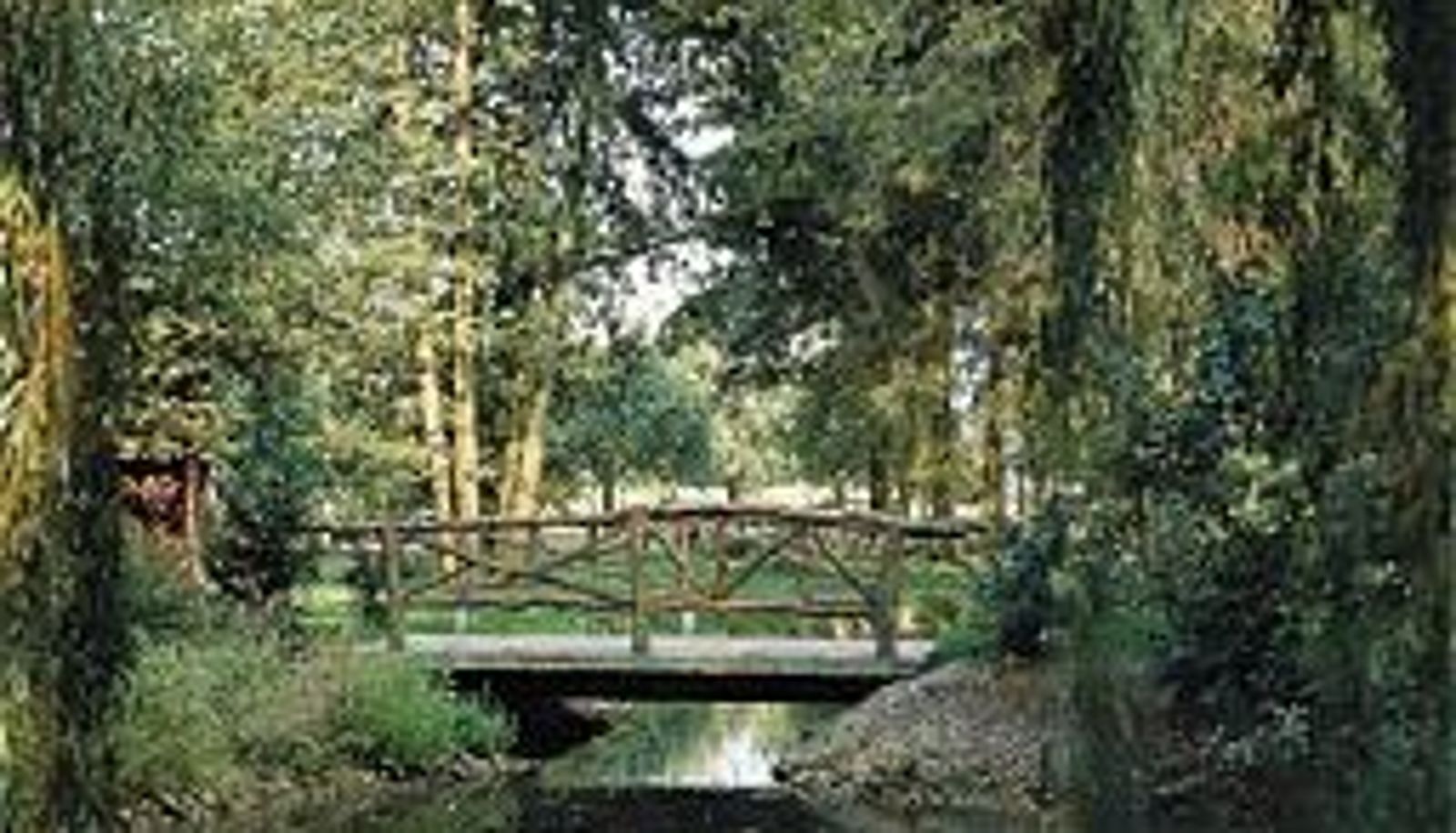 Garden - Heidehotel Waldhütte