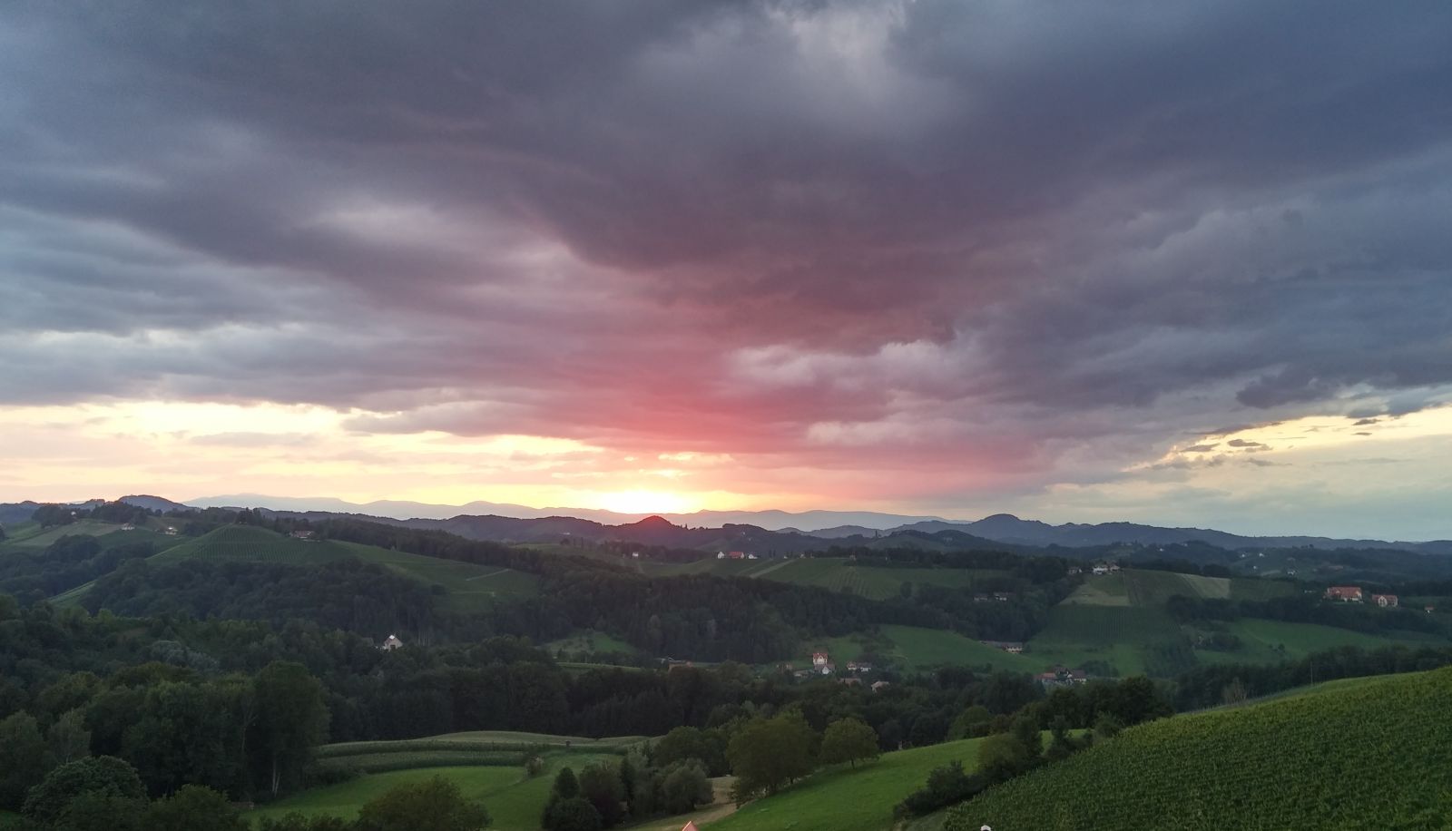 Vue - Eckbergerhof Ferlinz