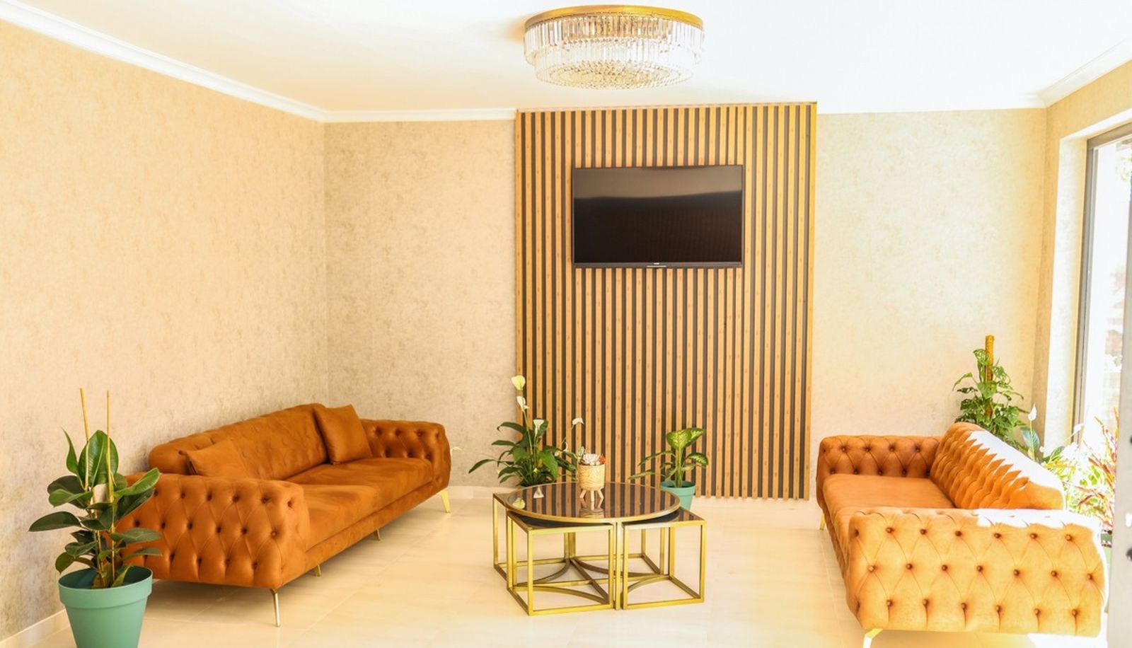 Interior view - Petra Hotel Tuzla Butik