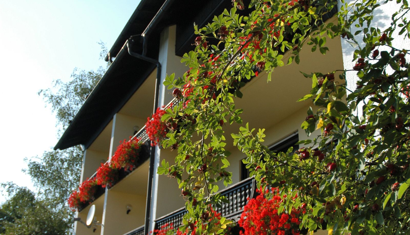 Giardino - Dreisonnenberg