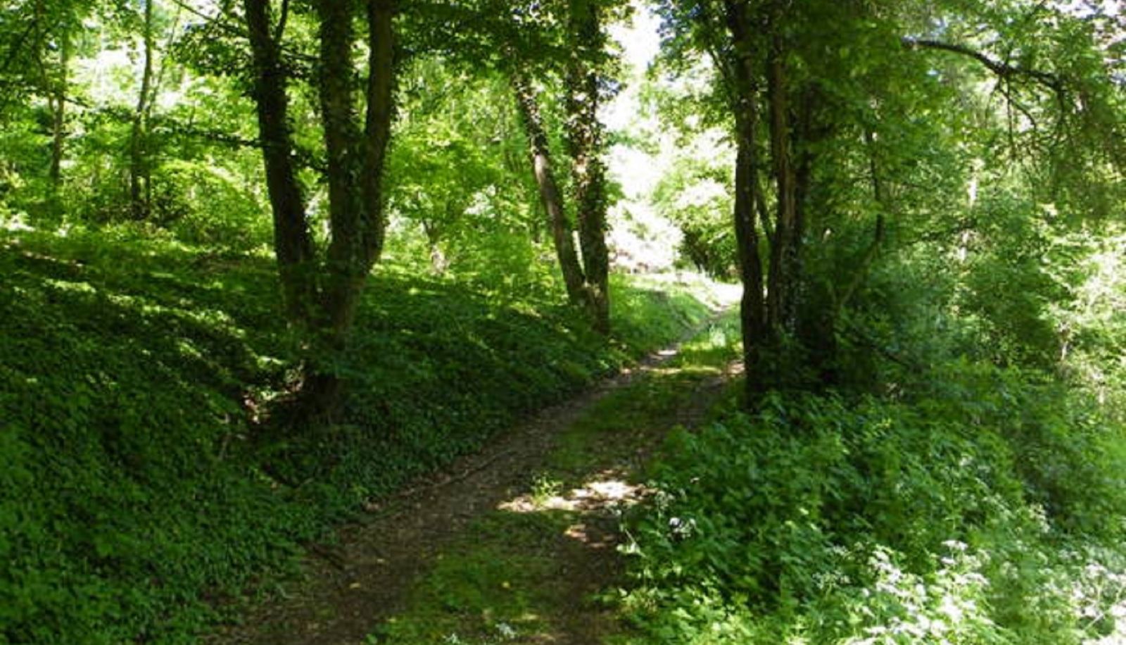 Omgeving - Belvilla Heiderhof in Rheinischen Westerwald