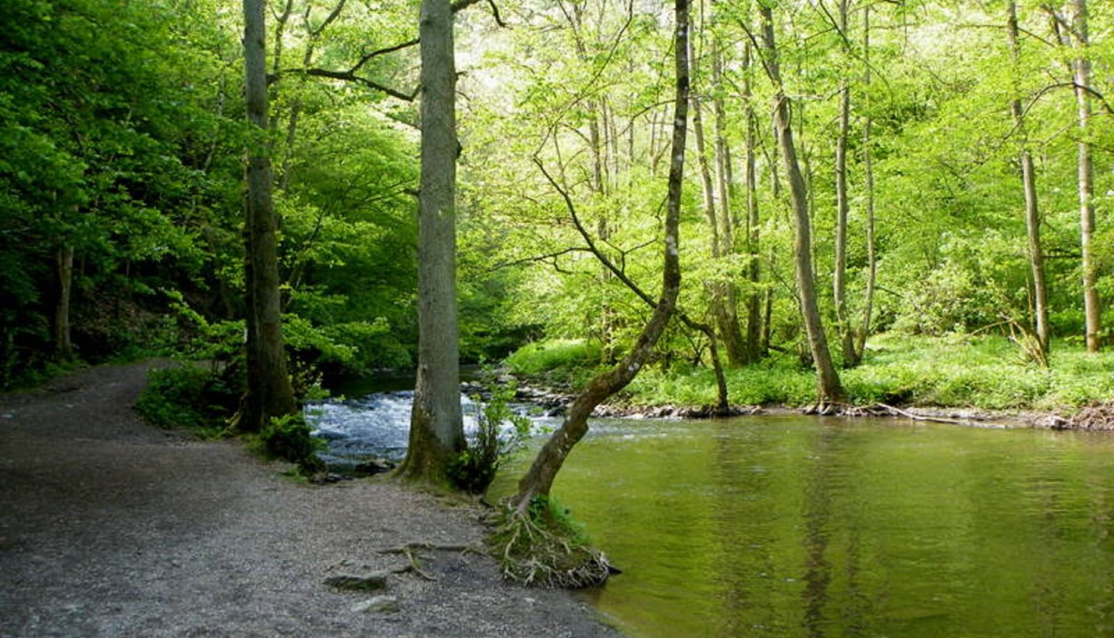 Omgeving - Belvilla Heiderhof in Rheinischen Westerwald