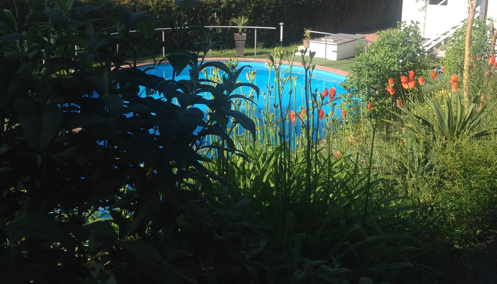 Garden - Hotel Sonnenhof
