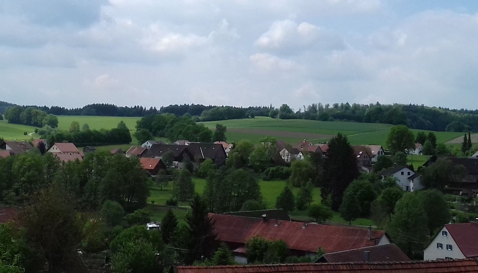 View - Burgberg