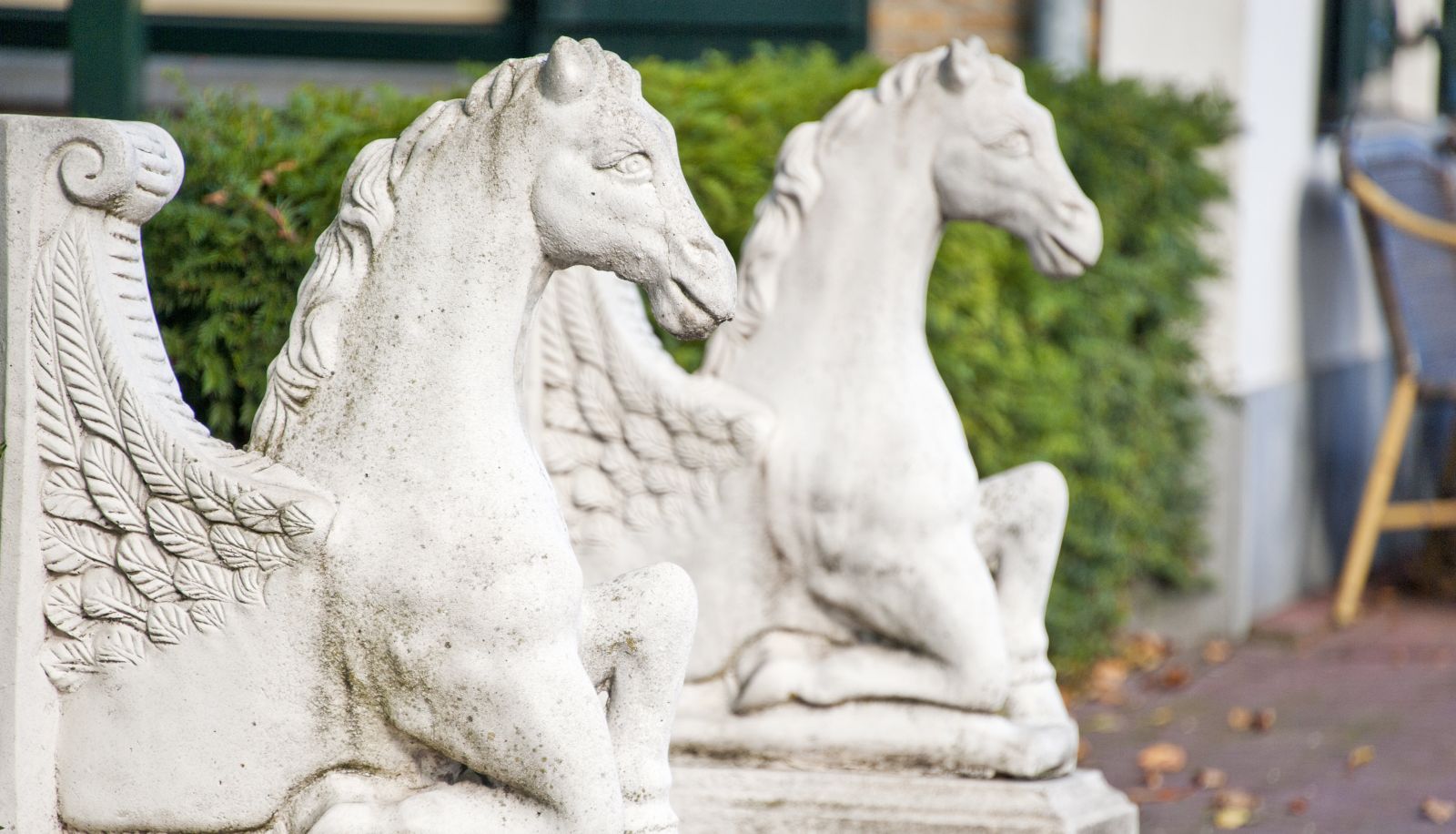 Terrazza - 't Witte Paard Hotel