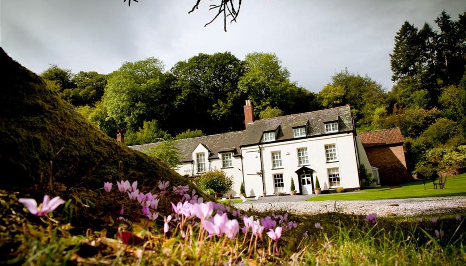 Zona exterior del hotel - Combe House