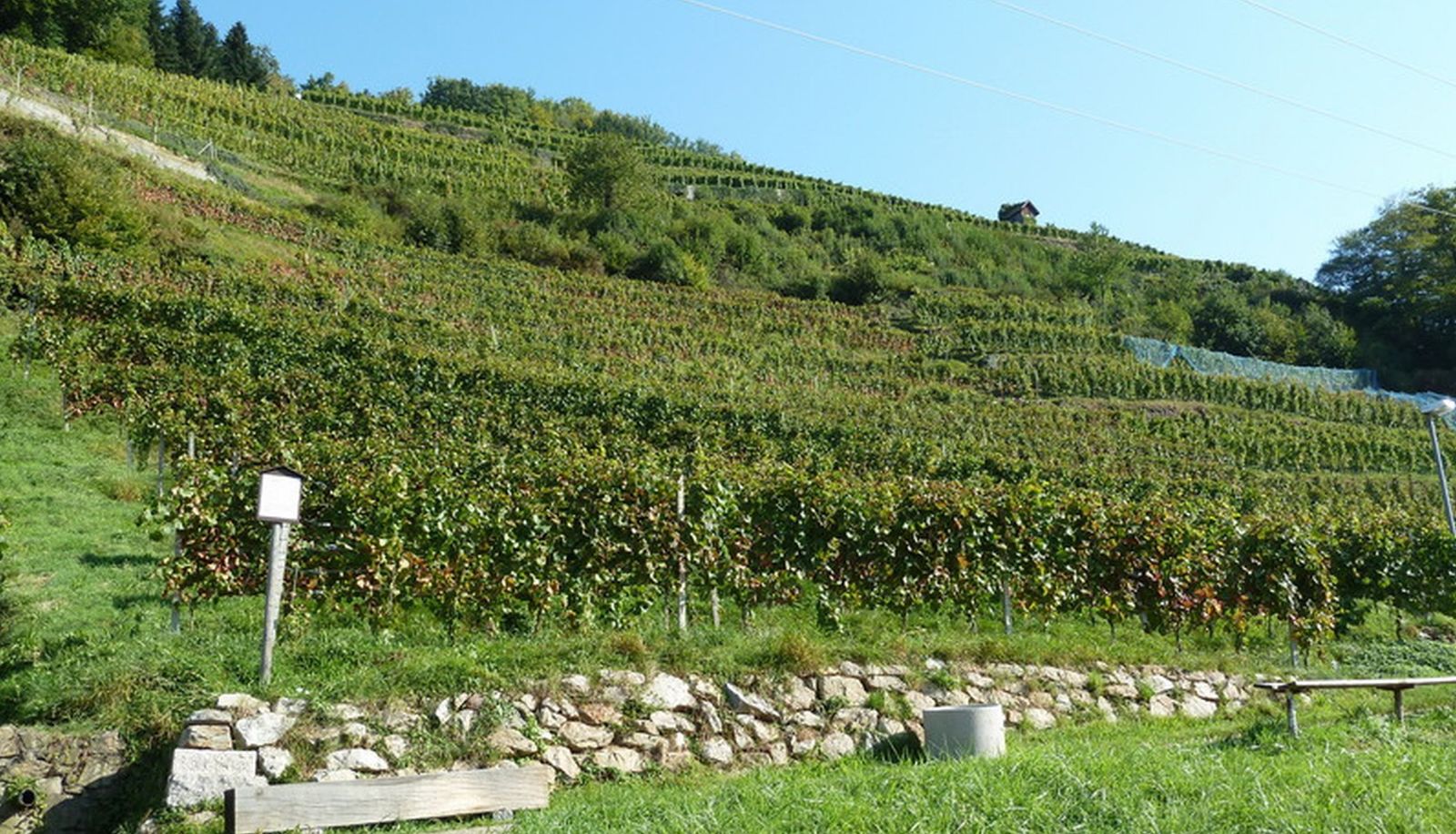 Entorno - Schwarzenberg