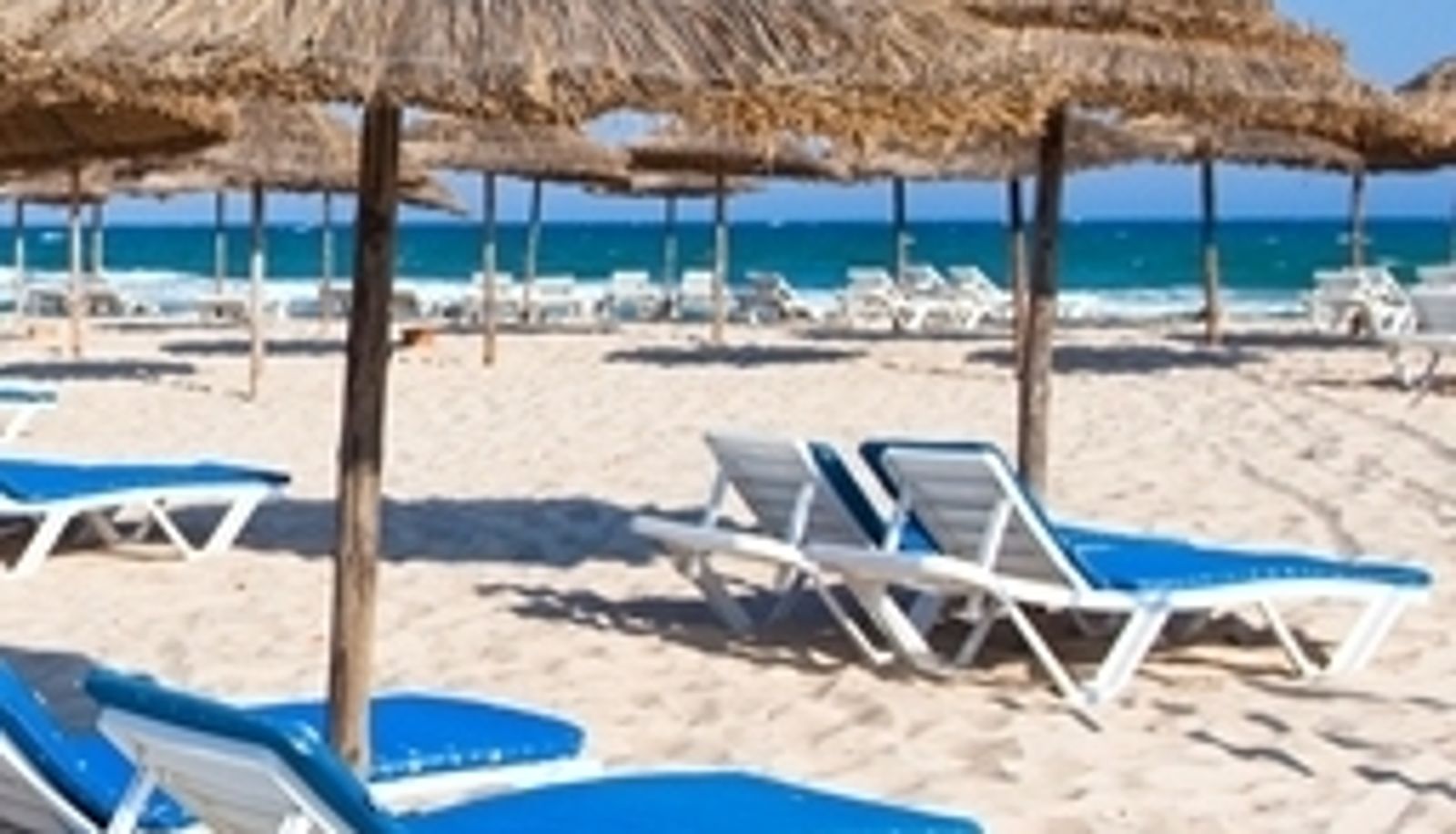 Strand - Zenith