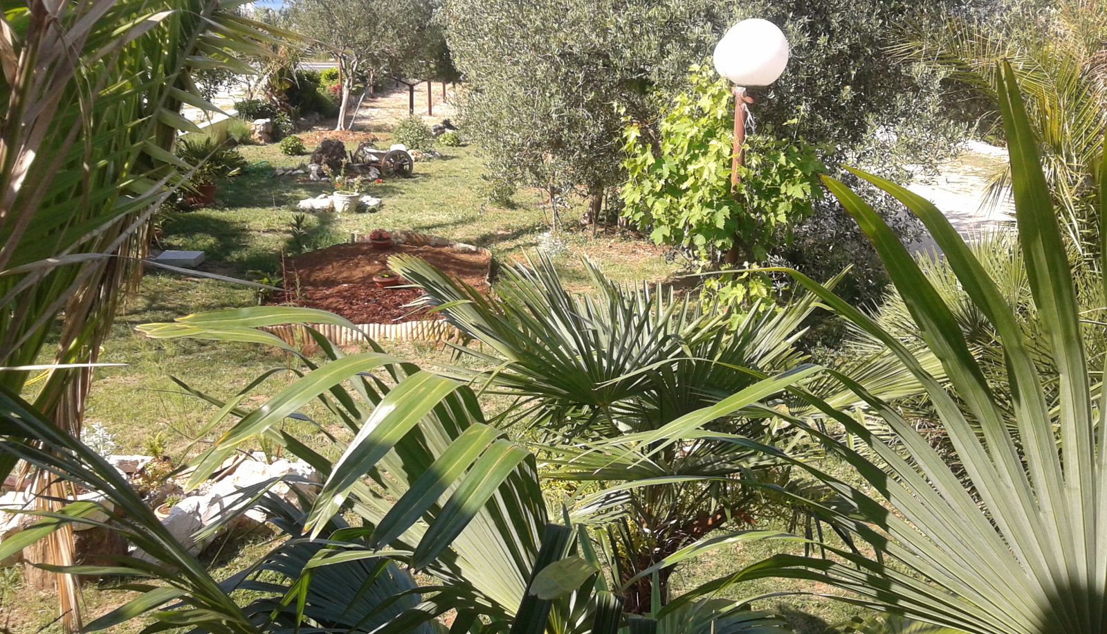 Giardino - Villa Anton