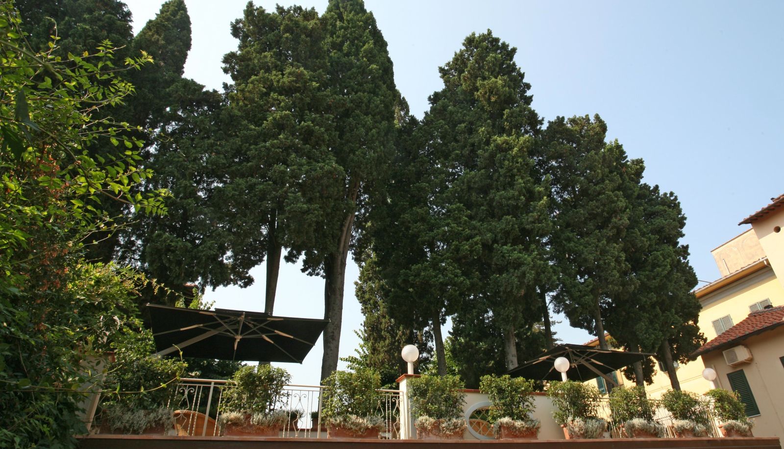 Terraza - Bologna