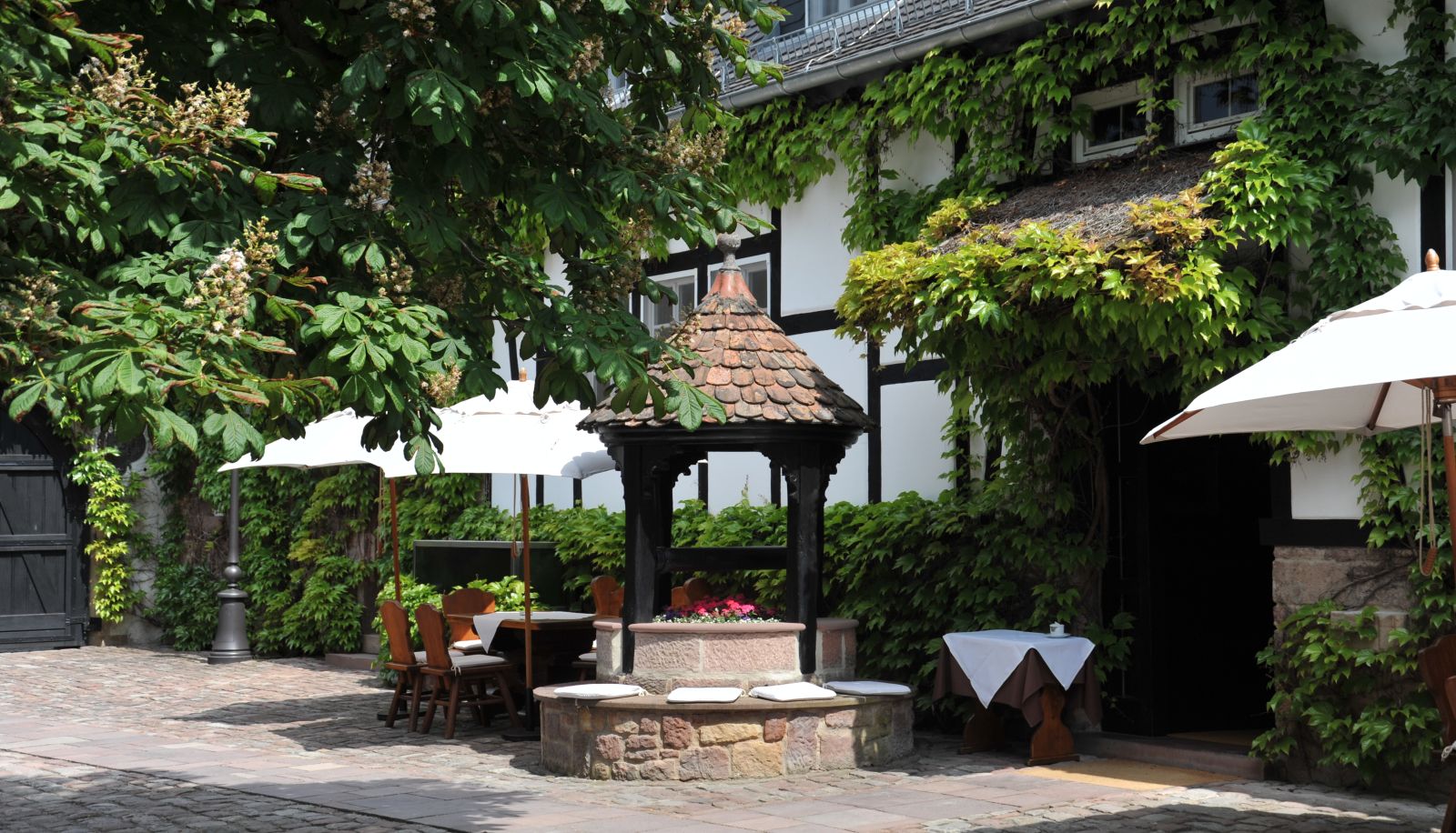 Area esterna dell'hotel - Neumühle Resort & Spa
