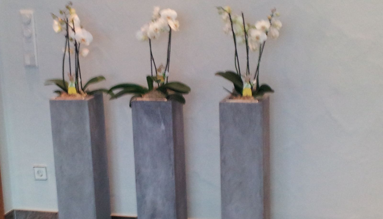 Lobby - Zur Linde
