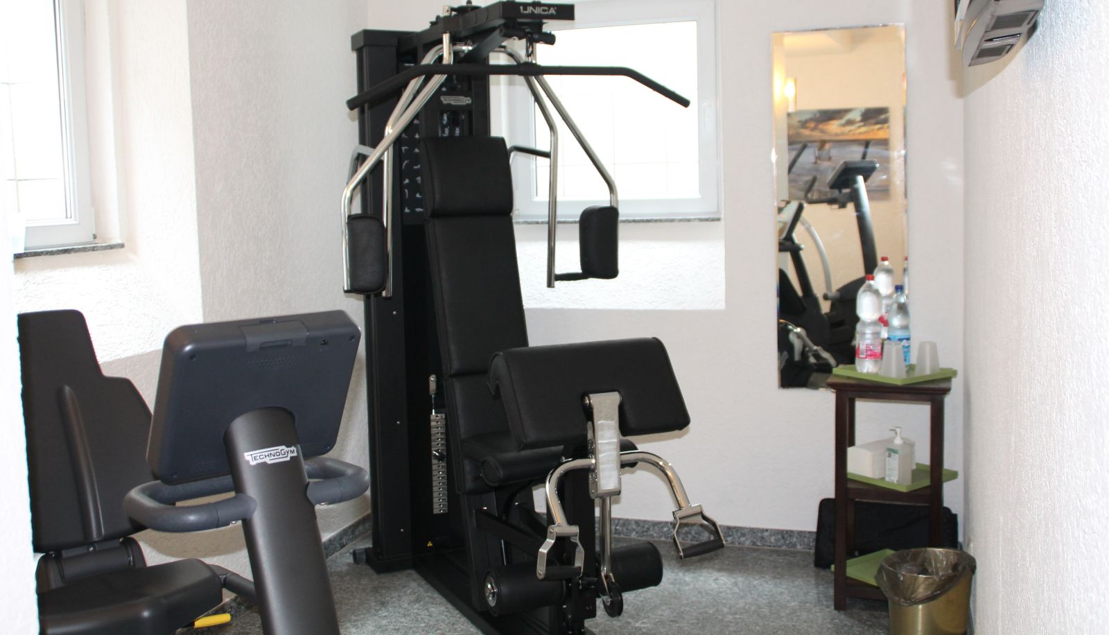 Gimnasio - Trip Inn Hotel Zum Riesen