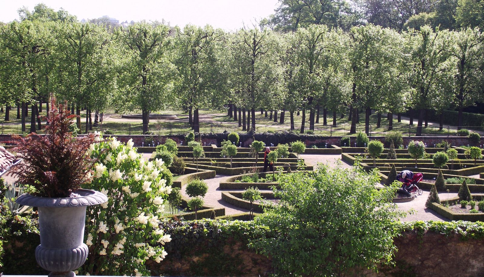 View - Der Platengarten