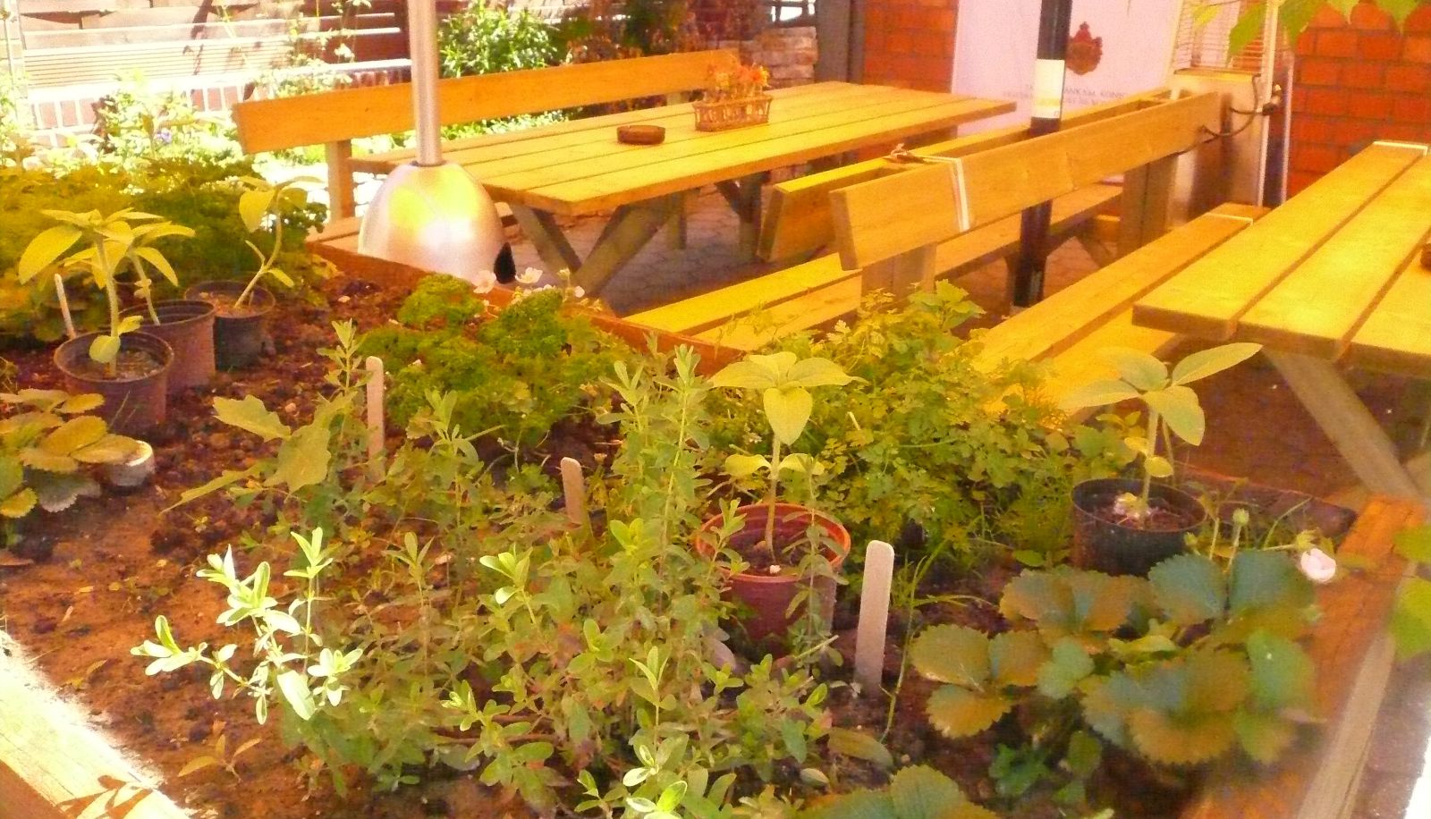 Tuin - Haus Berger