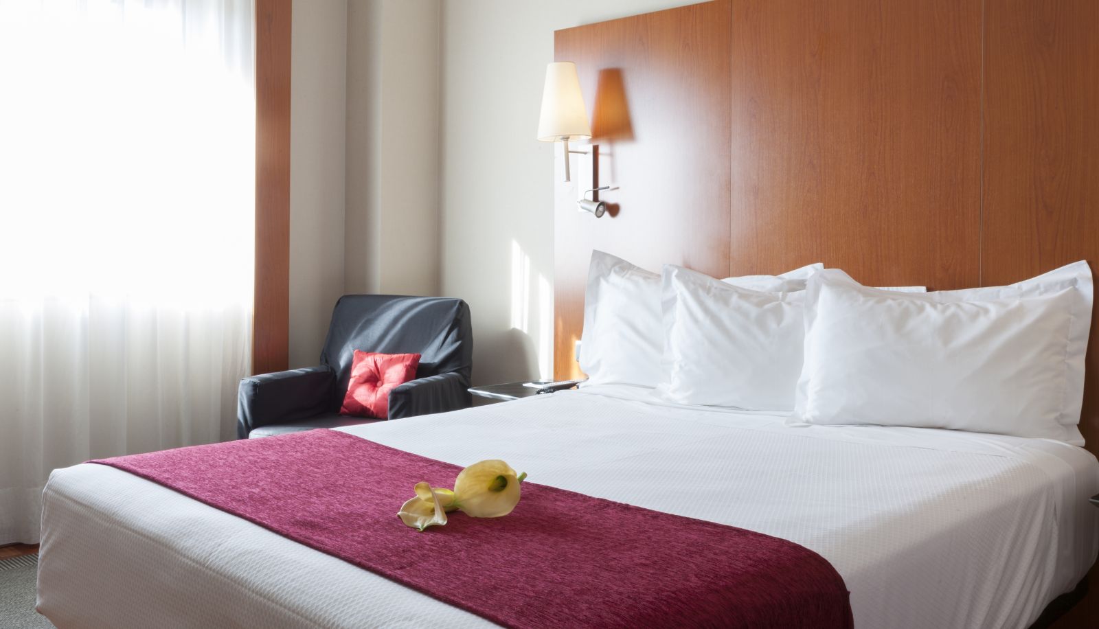 Camera standard (doppia) - Sercotel AB Rivas