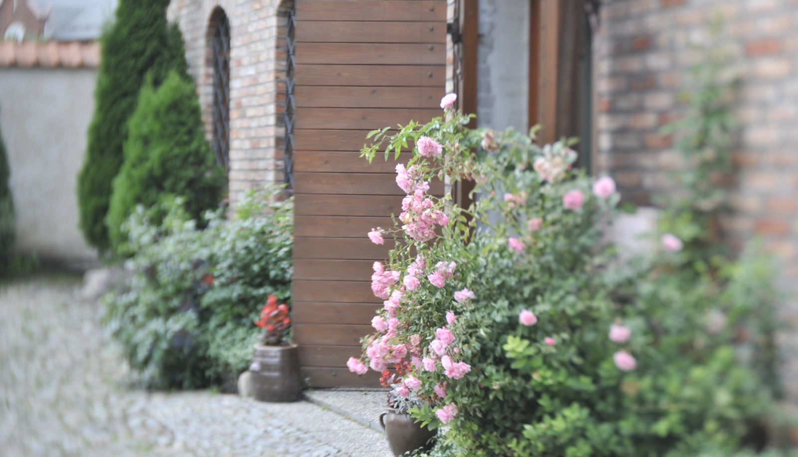 Garden - Oliwa Park Residence