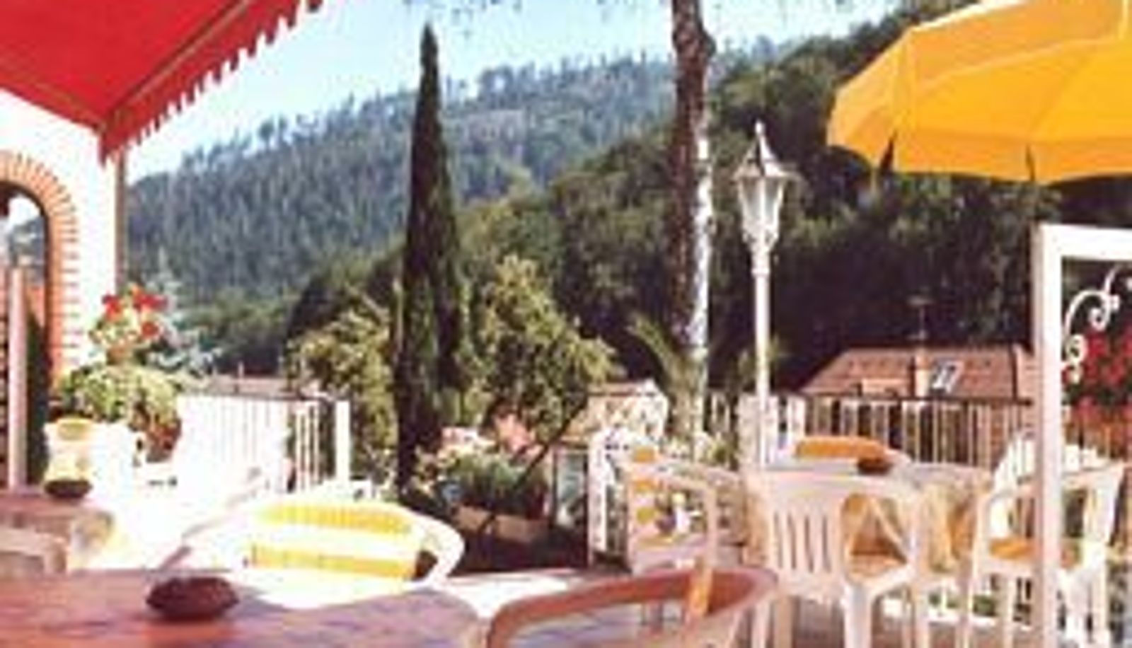 Terrazza - Waldschlößchen