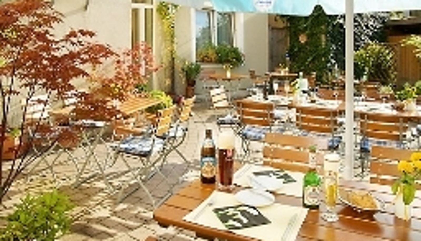 Terrace - Mehl