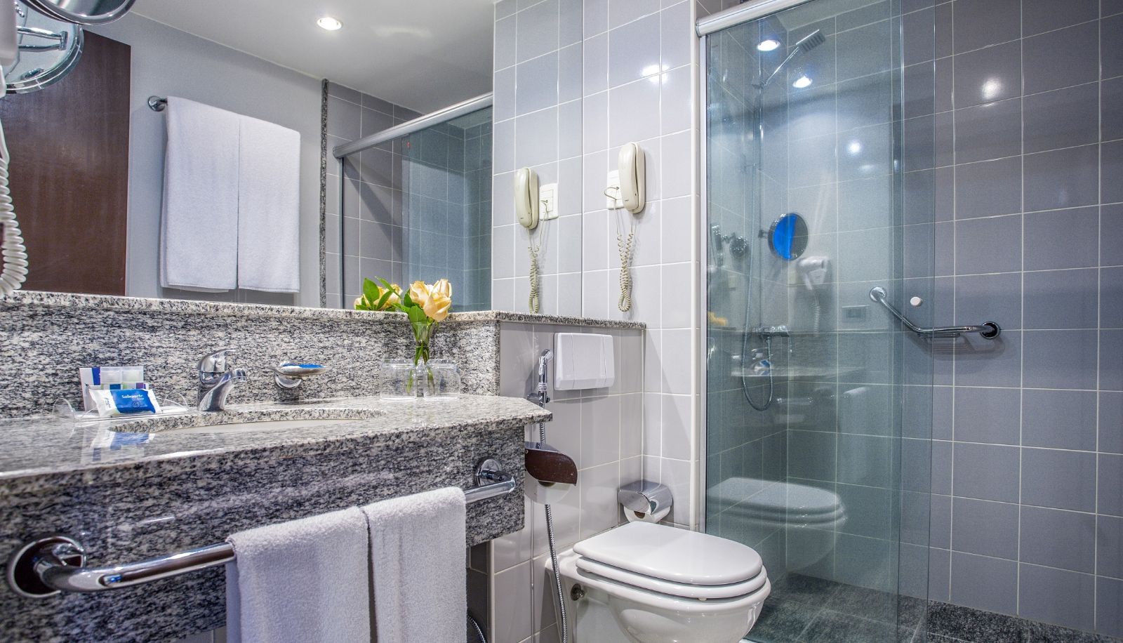 Bathroom - Blue Tree Premium Verbo Divino