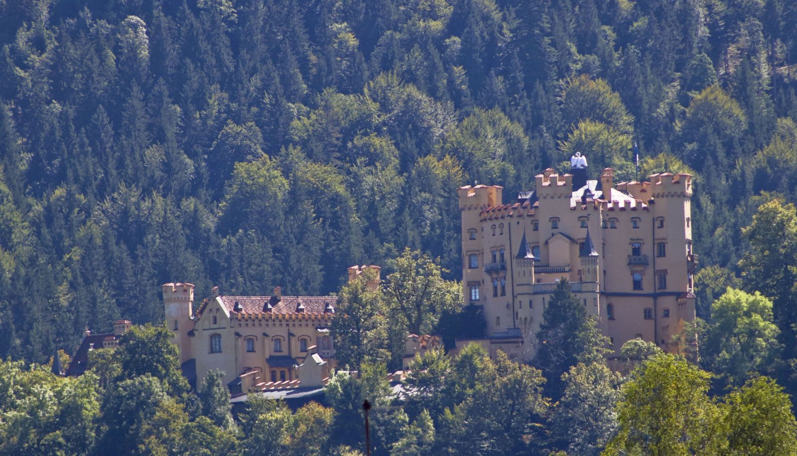 Dintorni - Waldmann