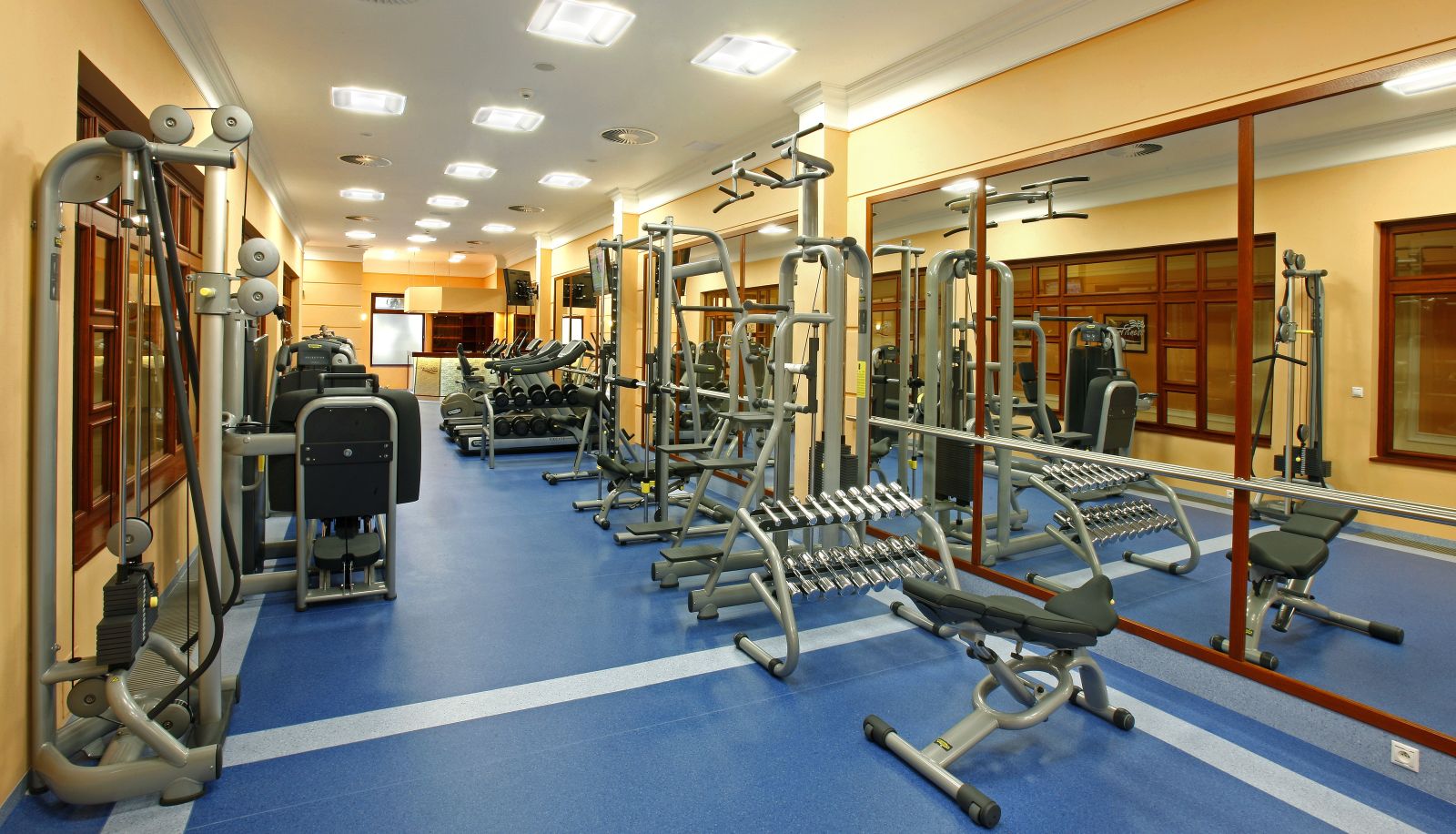 Palestra - Ensana Nove Lazne