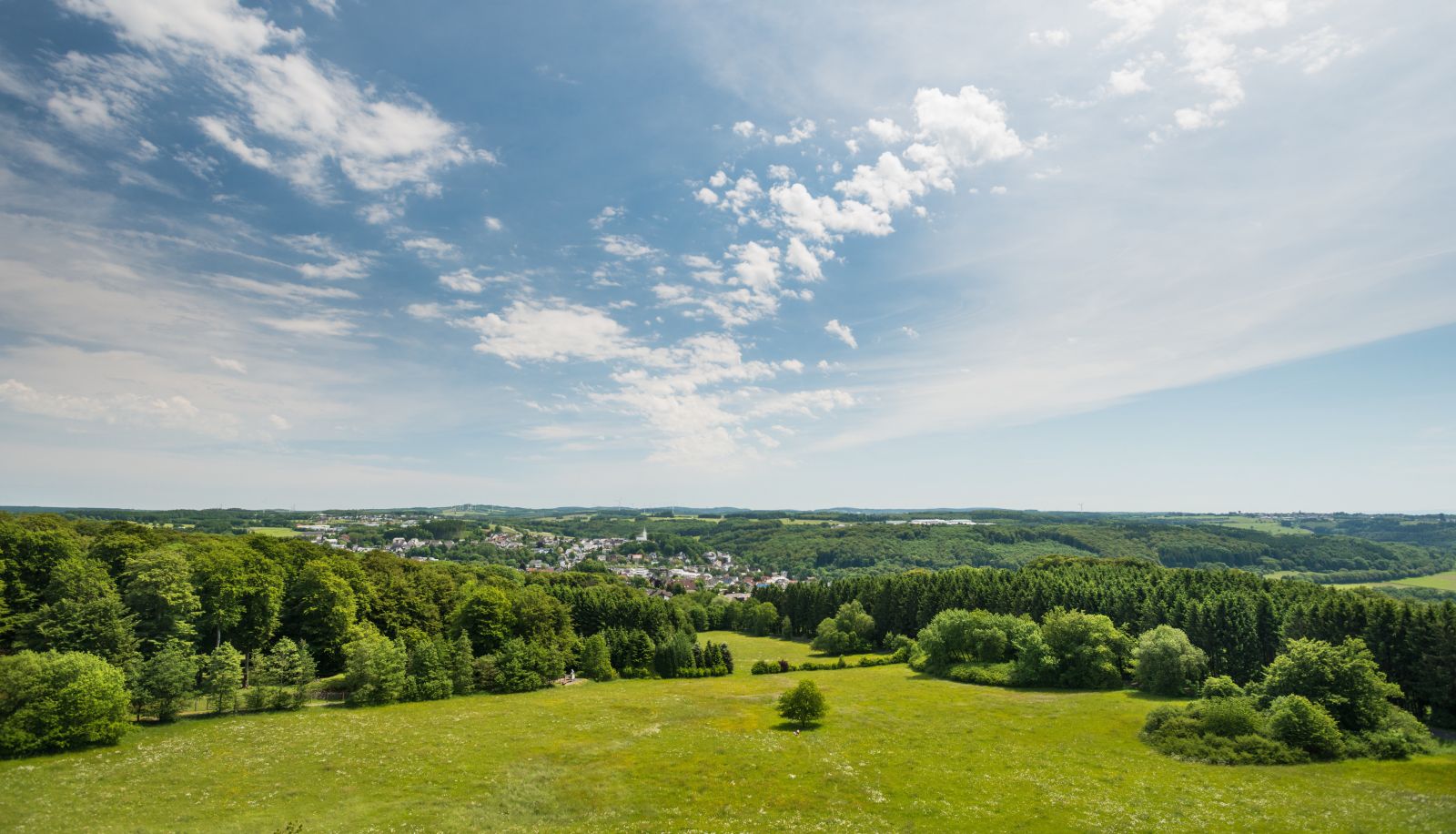 Widok - Wildpark Hotel