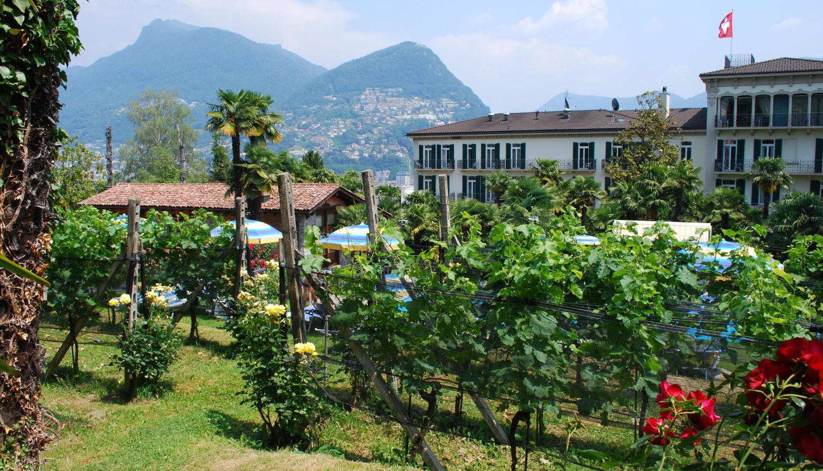 Garten - Continental-Parkhotel