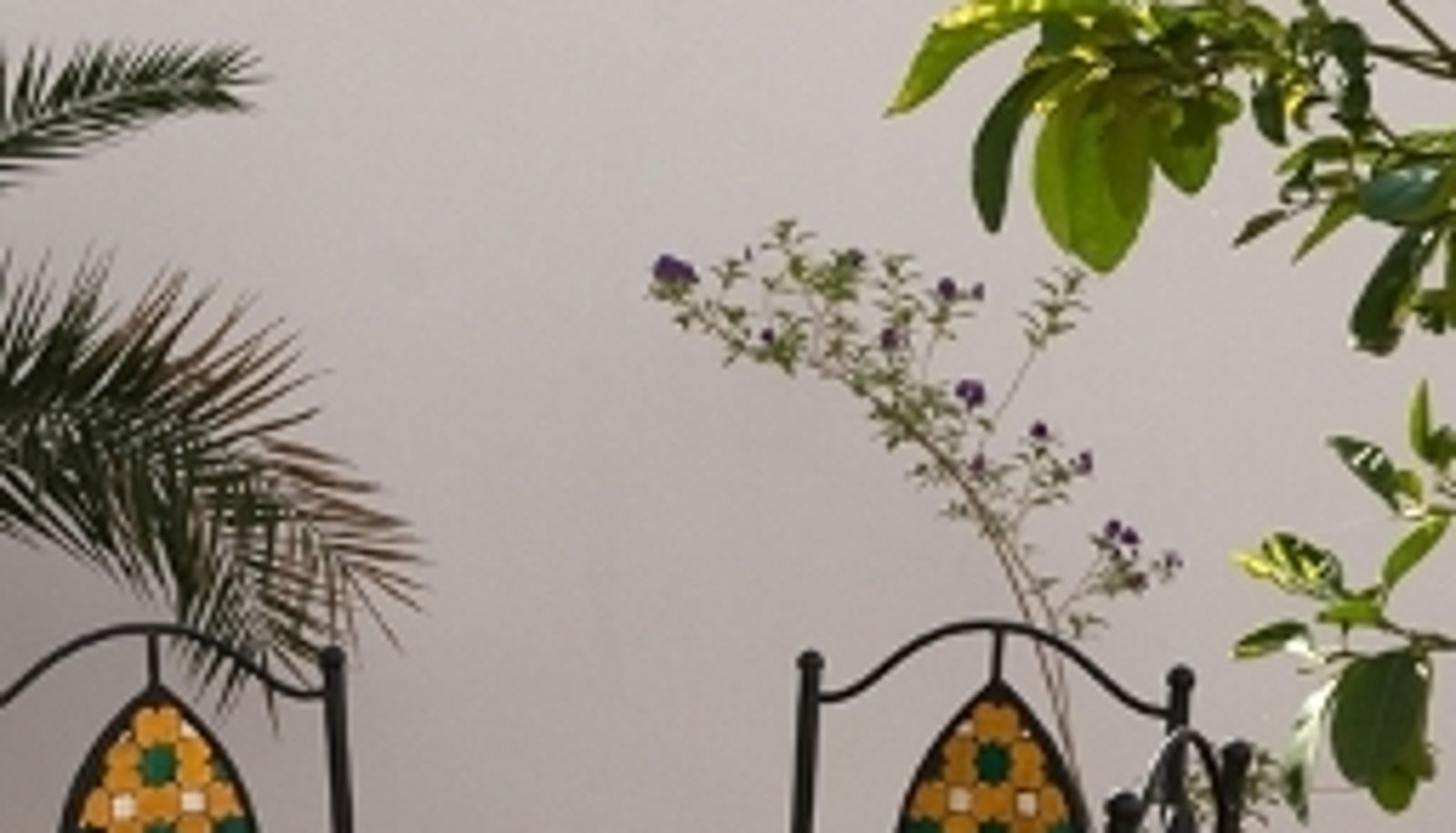Widok wnętrza - La Fuente Apartamentos
