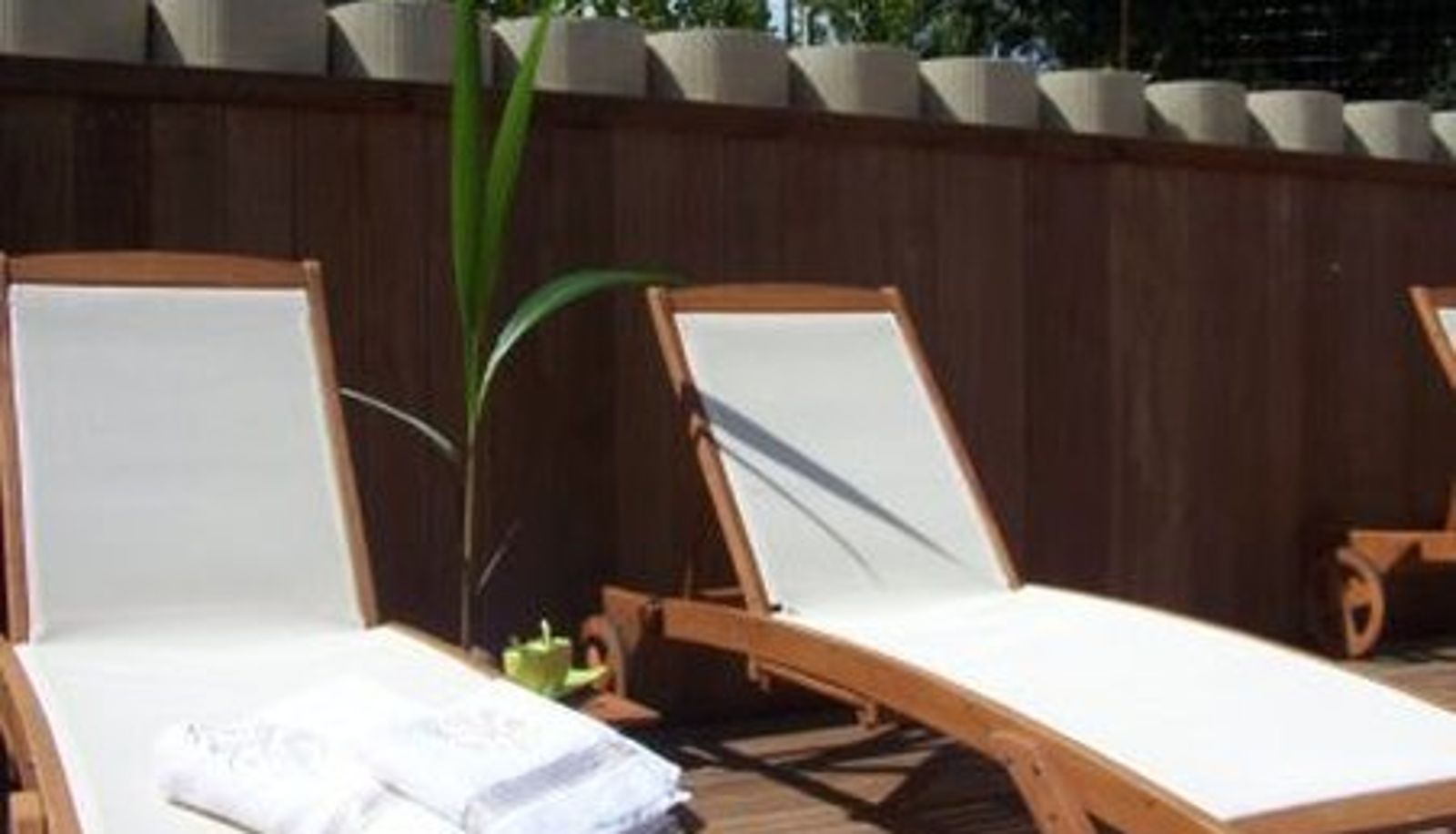 Pool - Hippocampe