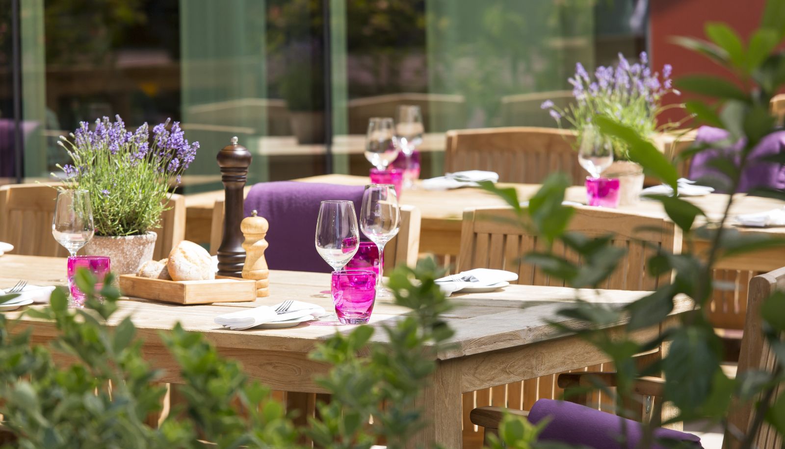 Terraza - AMERON Köln Hotel Regent