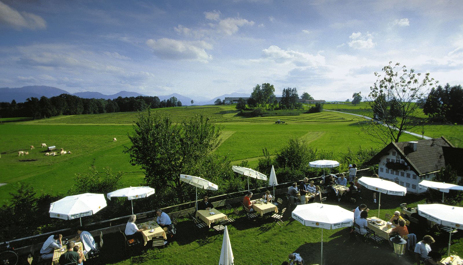 View - Hoisl-Bräu Landhotel