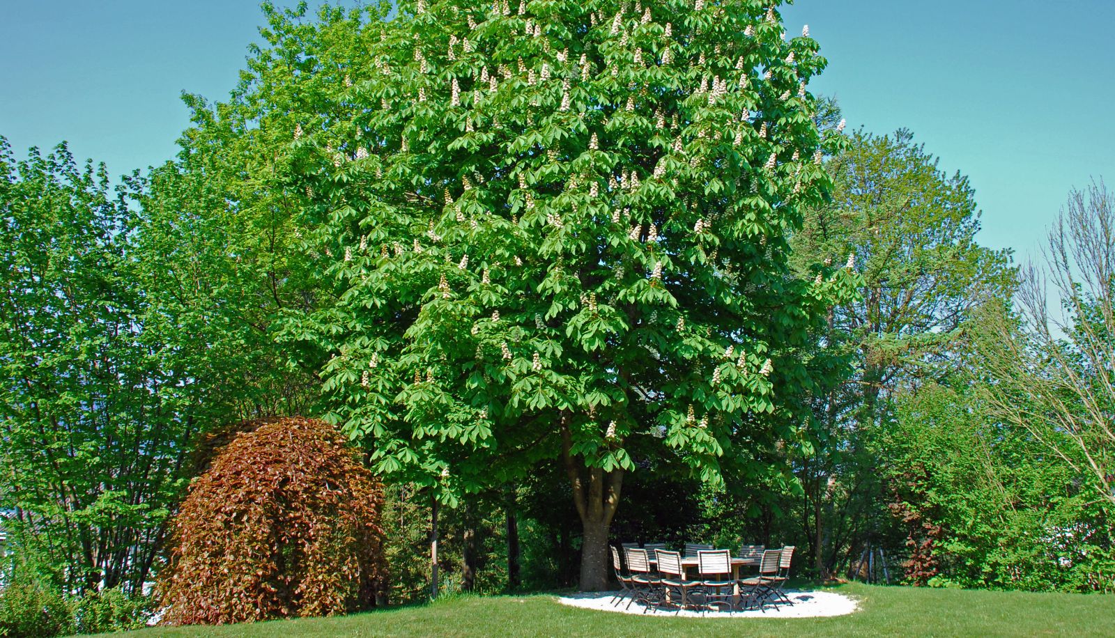 Giardino - Das Landhaus