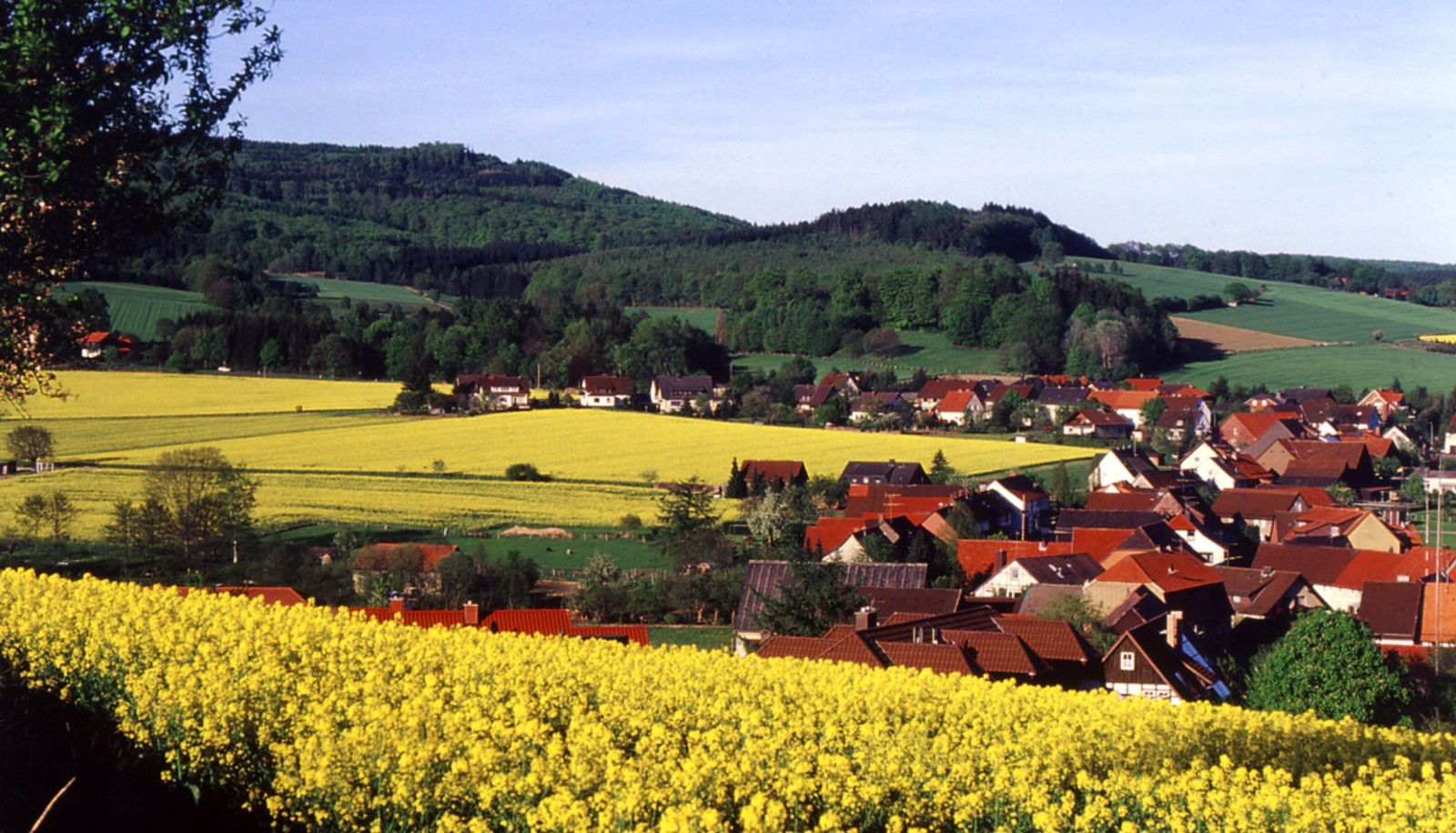 Ausblick - Gasthaus Johanning Zur Erholung