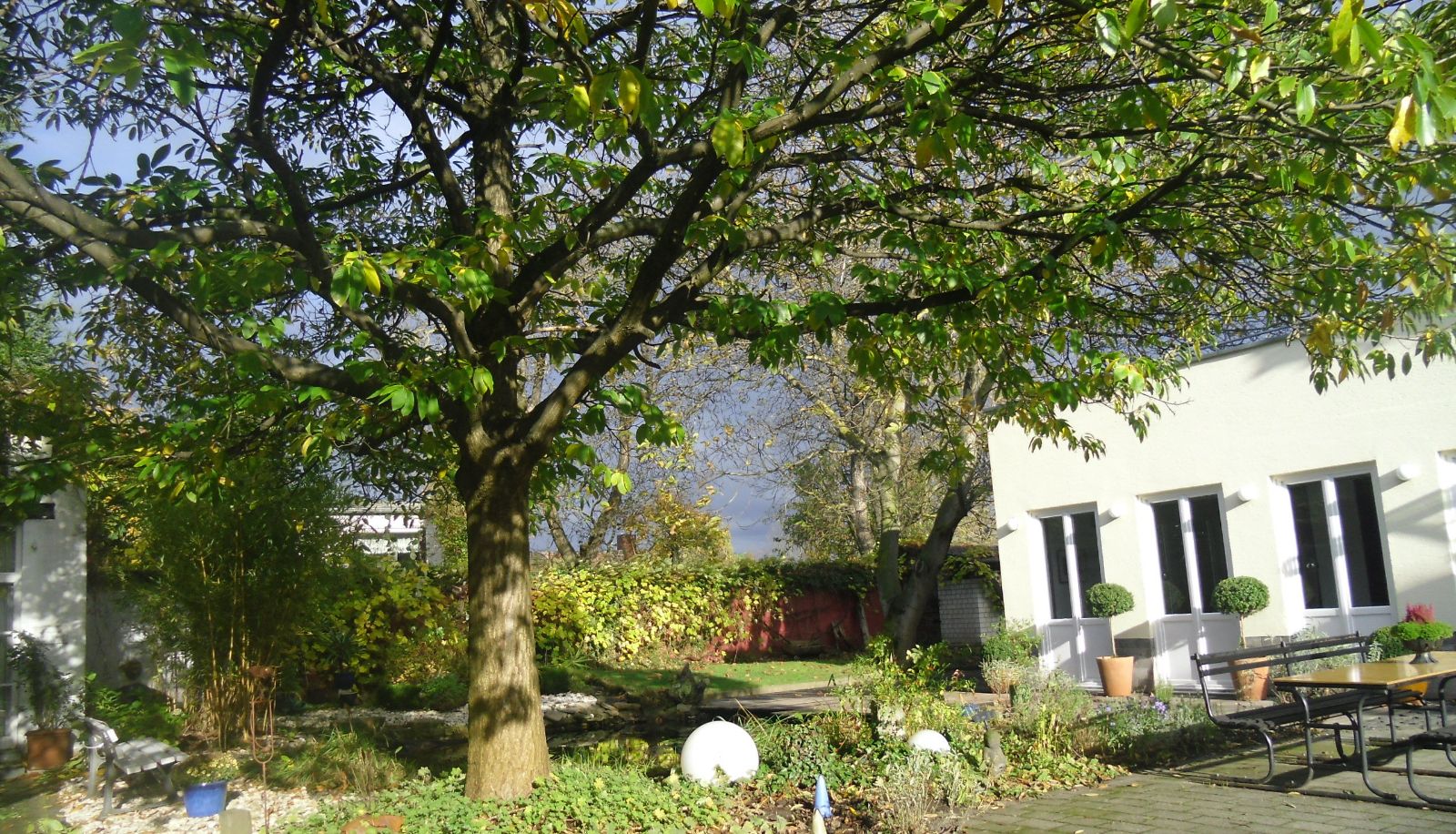 Garden - Zwei Linden