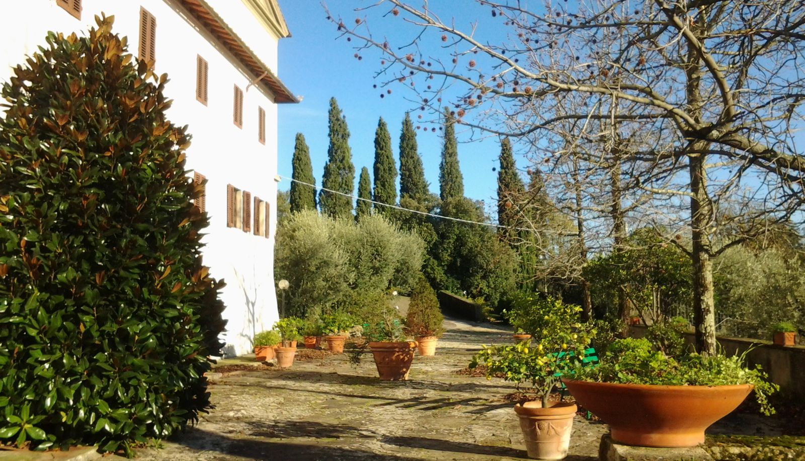 Area esterna dell'hotel - Antico Convento Park Hotel et Bellevue