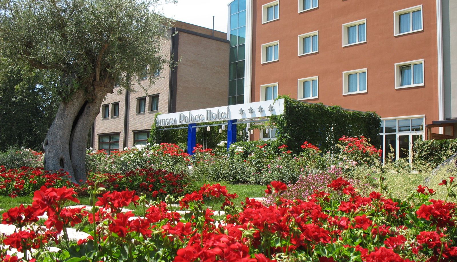 Buitenruimte van het hotel - Anusca Palace