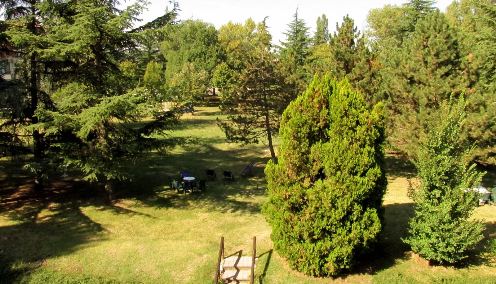Vista - Park